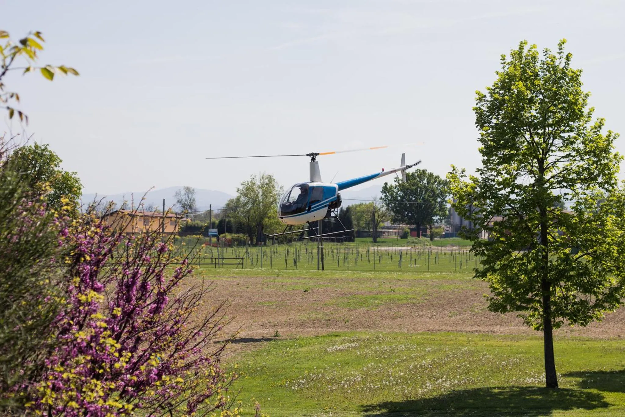 Natural landscape in Hotel del Rio Srl - RISTORANTE e Azienda agricola