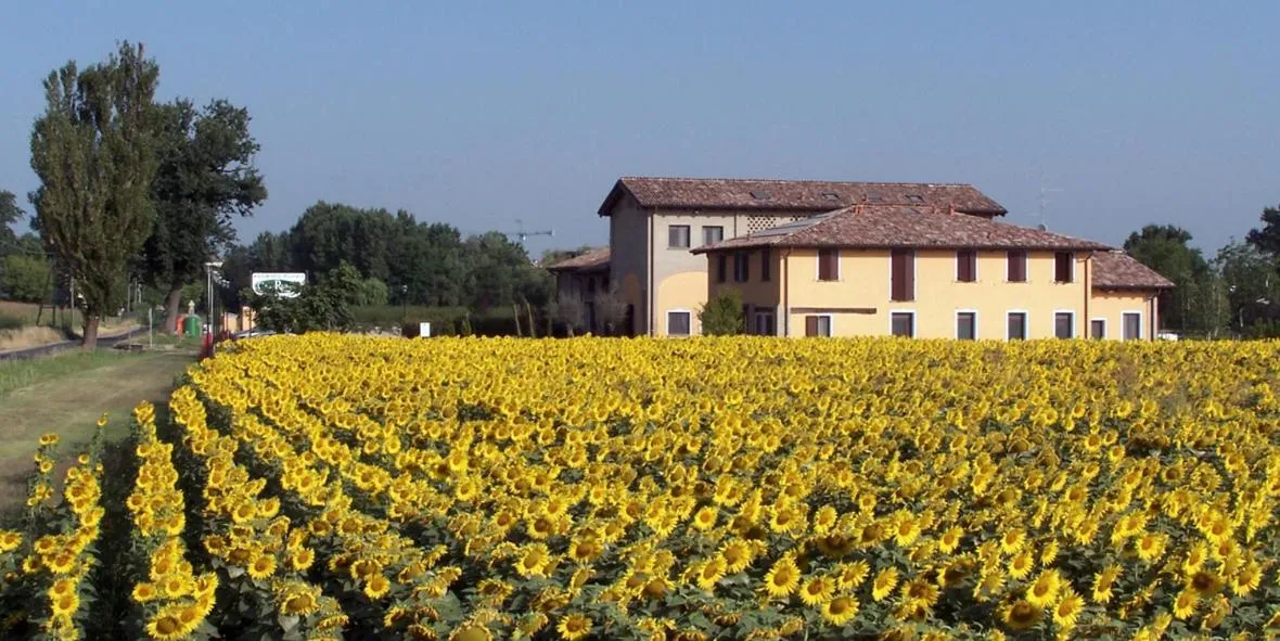 Area and facilities in Hotel del Rio Srl - RISTORANTE e Azienda agricola