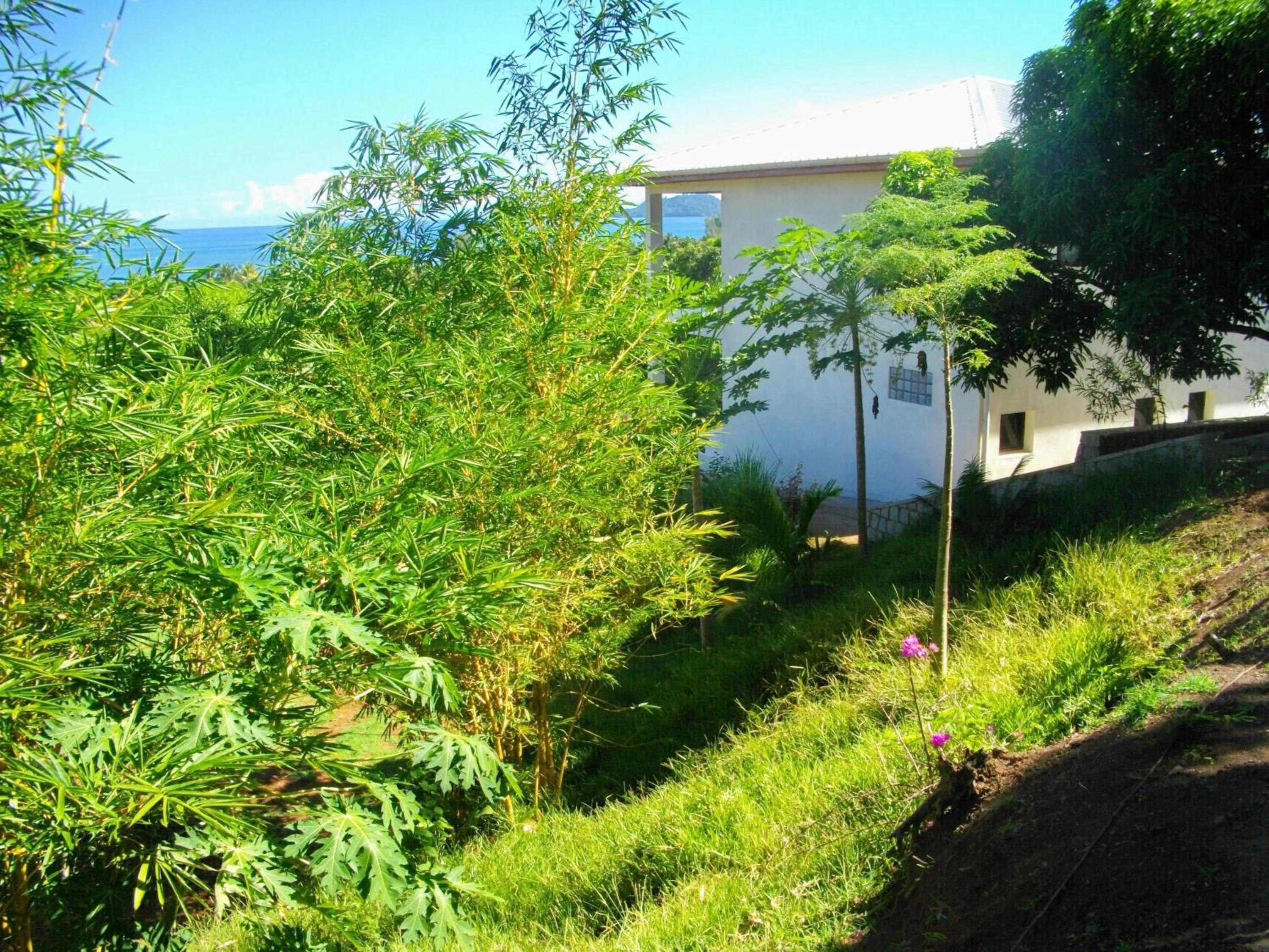 Garden in Hotel Mahita Tsara