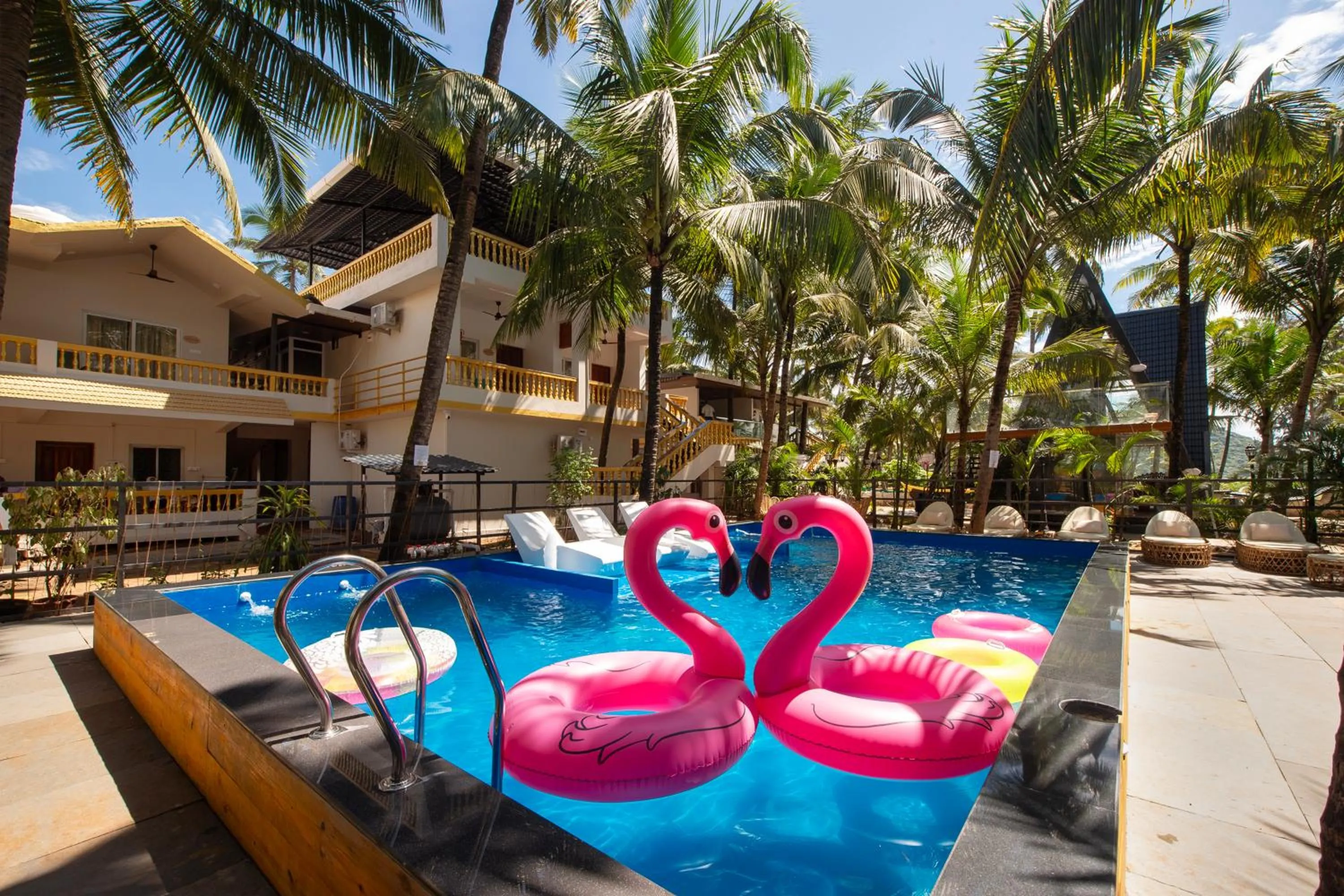 Swimming pool in The Rose Goa Beach Resort