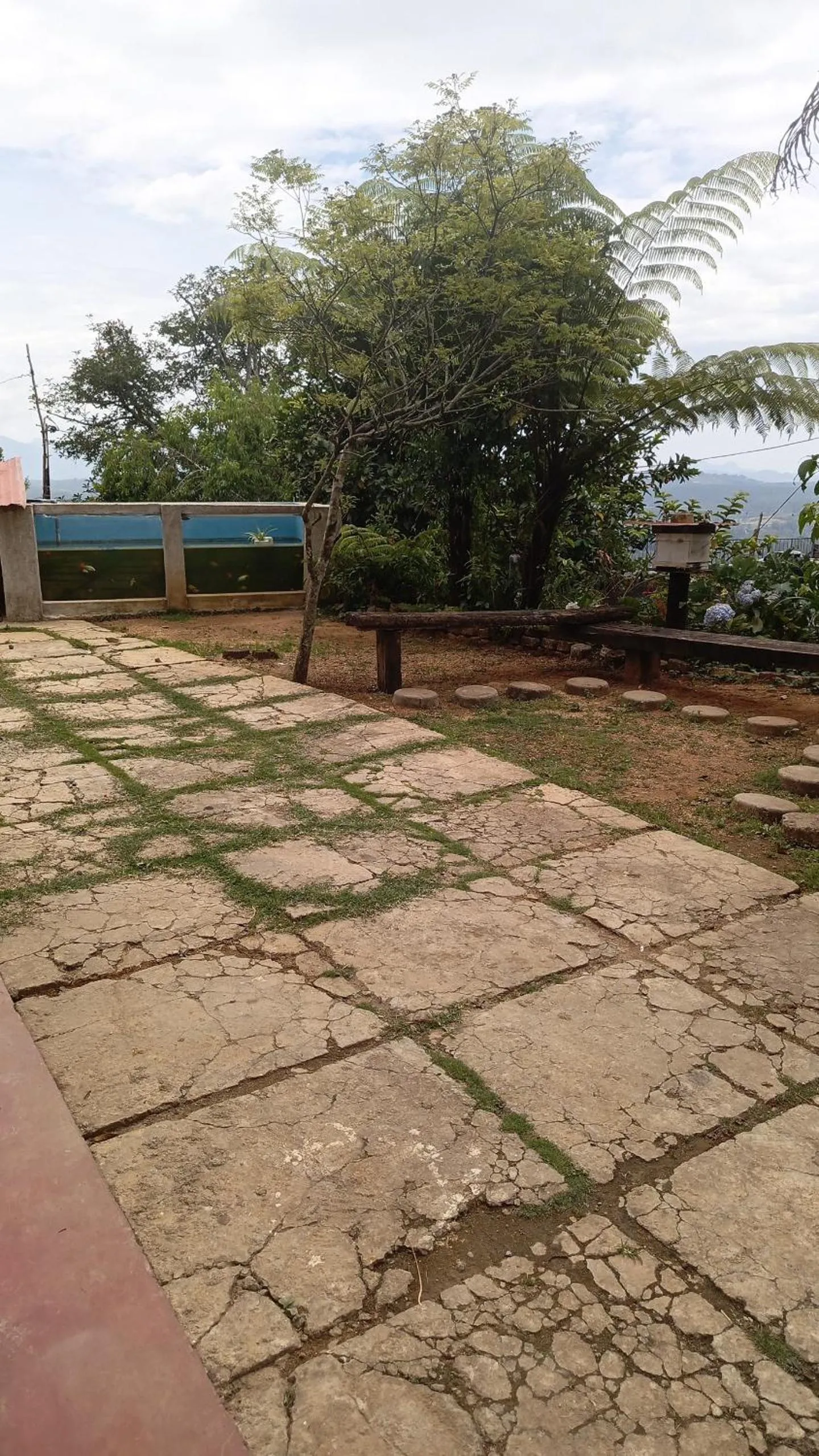 Garden in Adisham village home Haputale