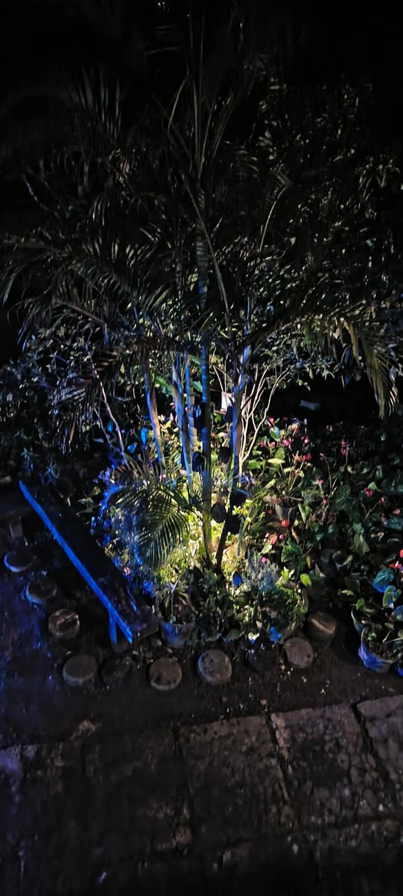 Garden in Adisham village home Haputale
