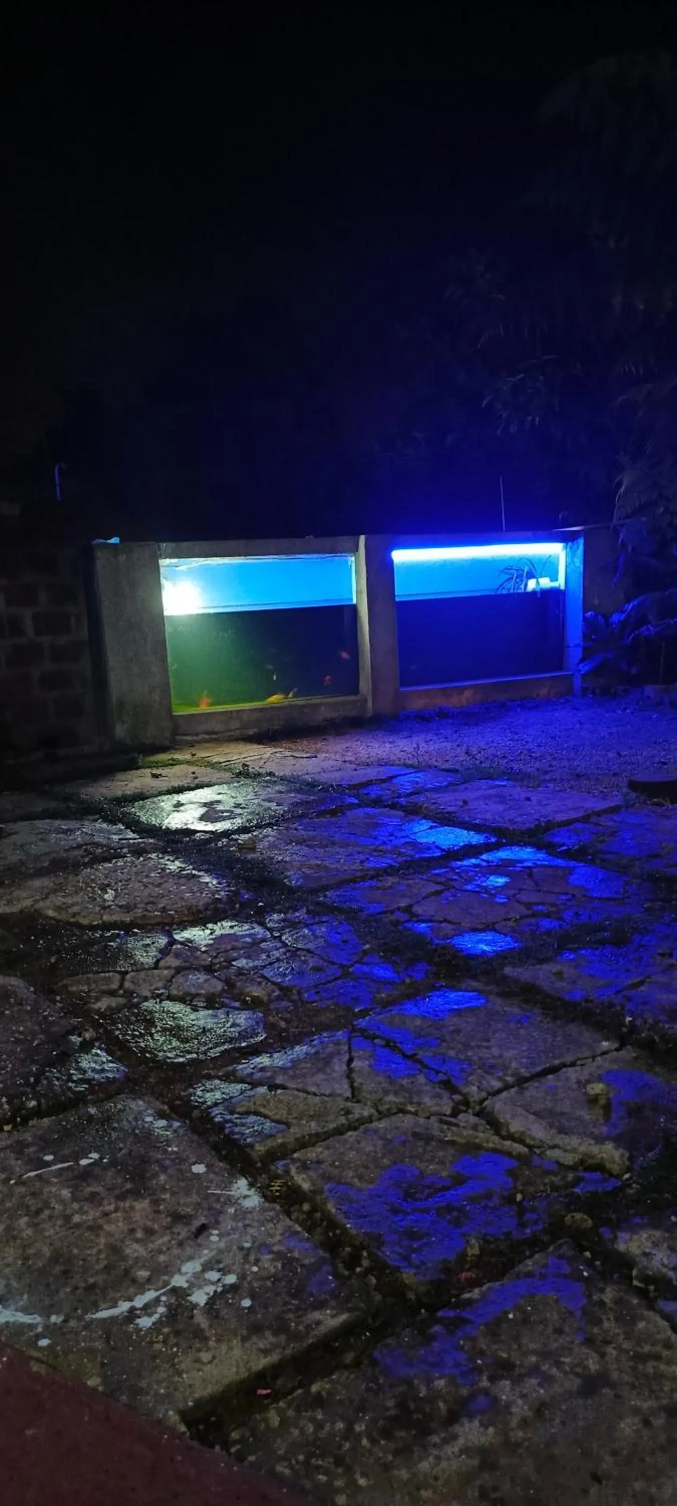 Garden in Adisham village home Haputale