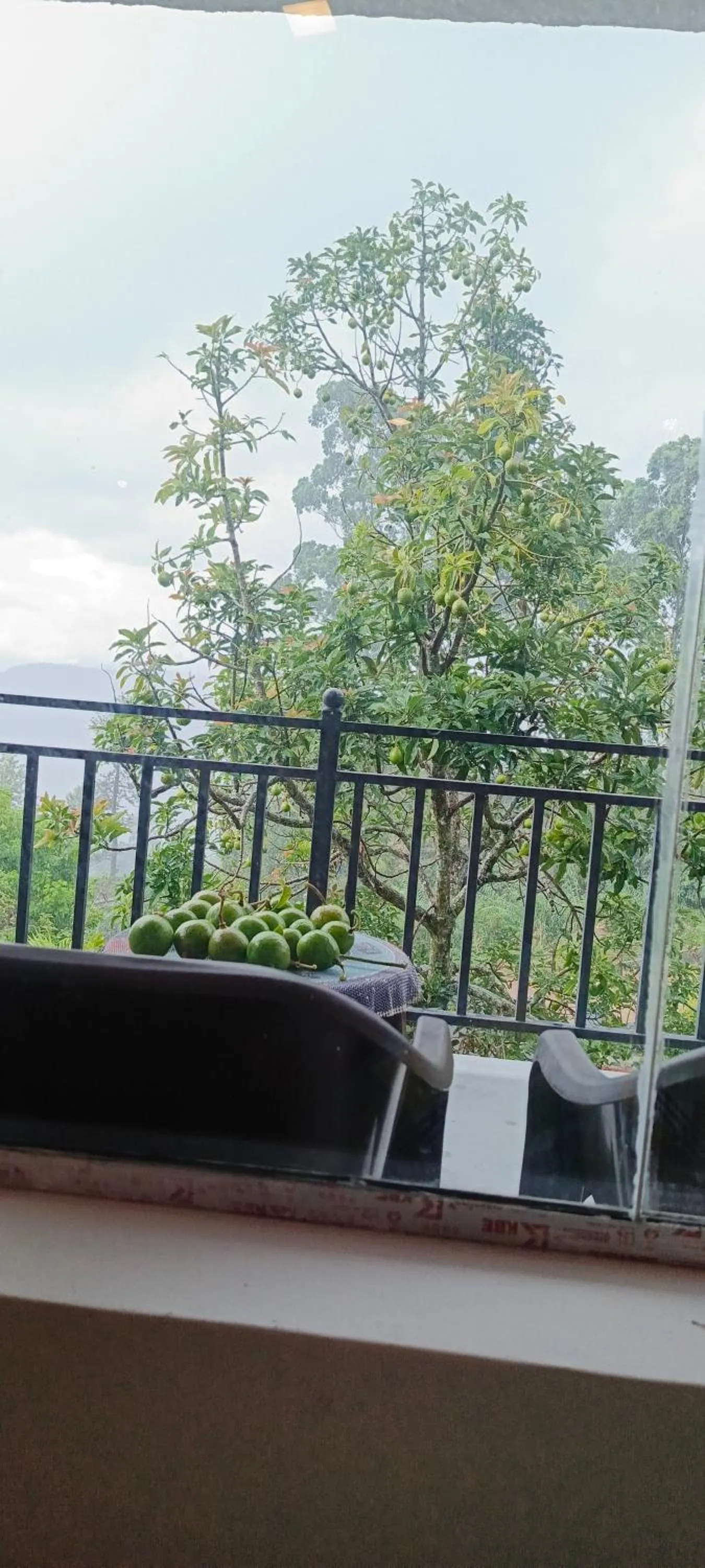 Adisham village home Haputale