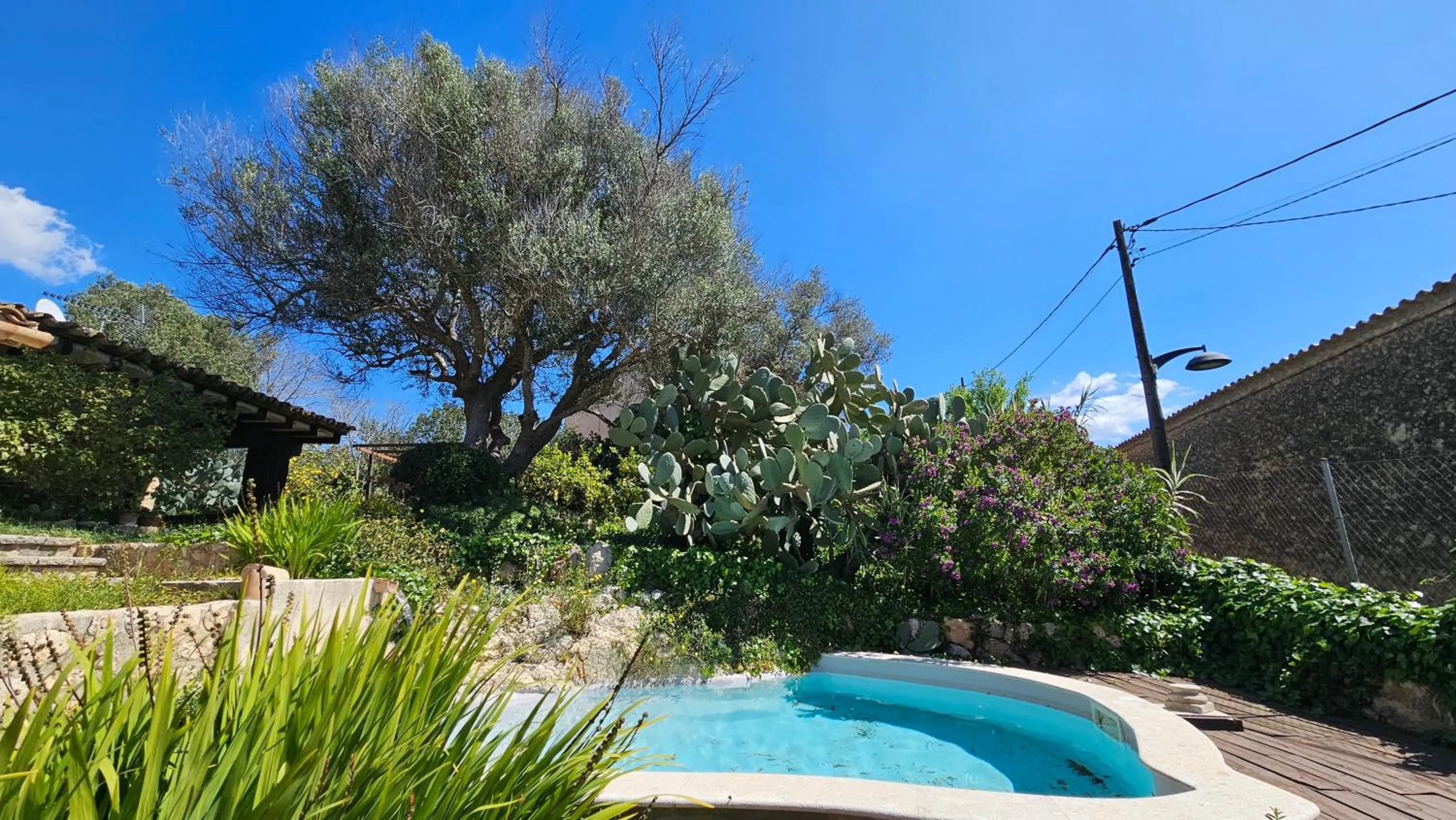 Day in Asis de Marratxinet Turismo de Interior