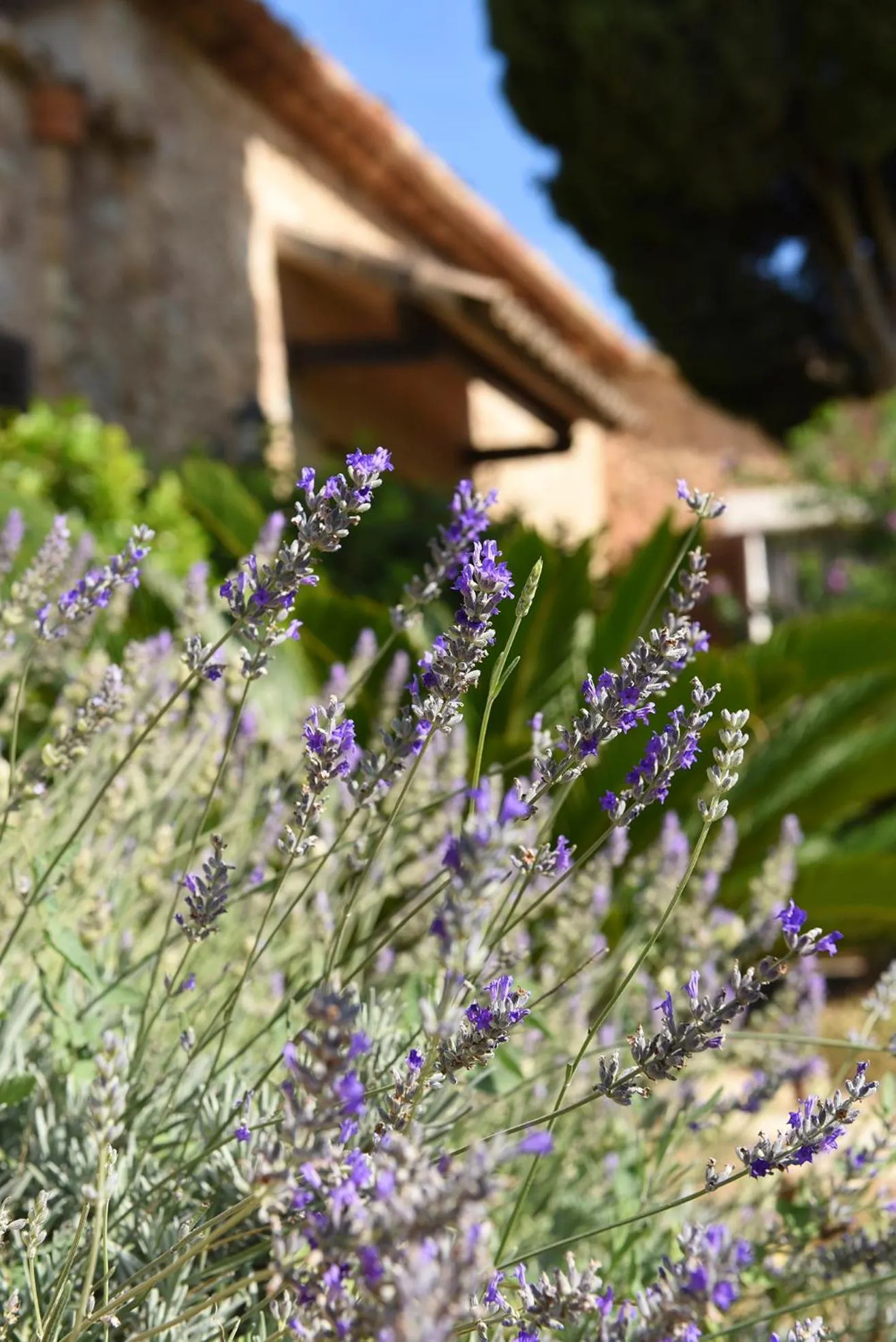 Property building in Asis de Marratxinet Turismo de Interior