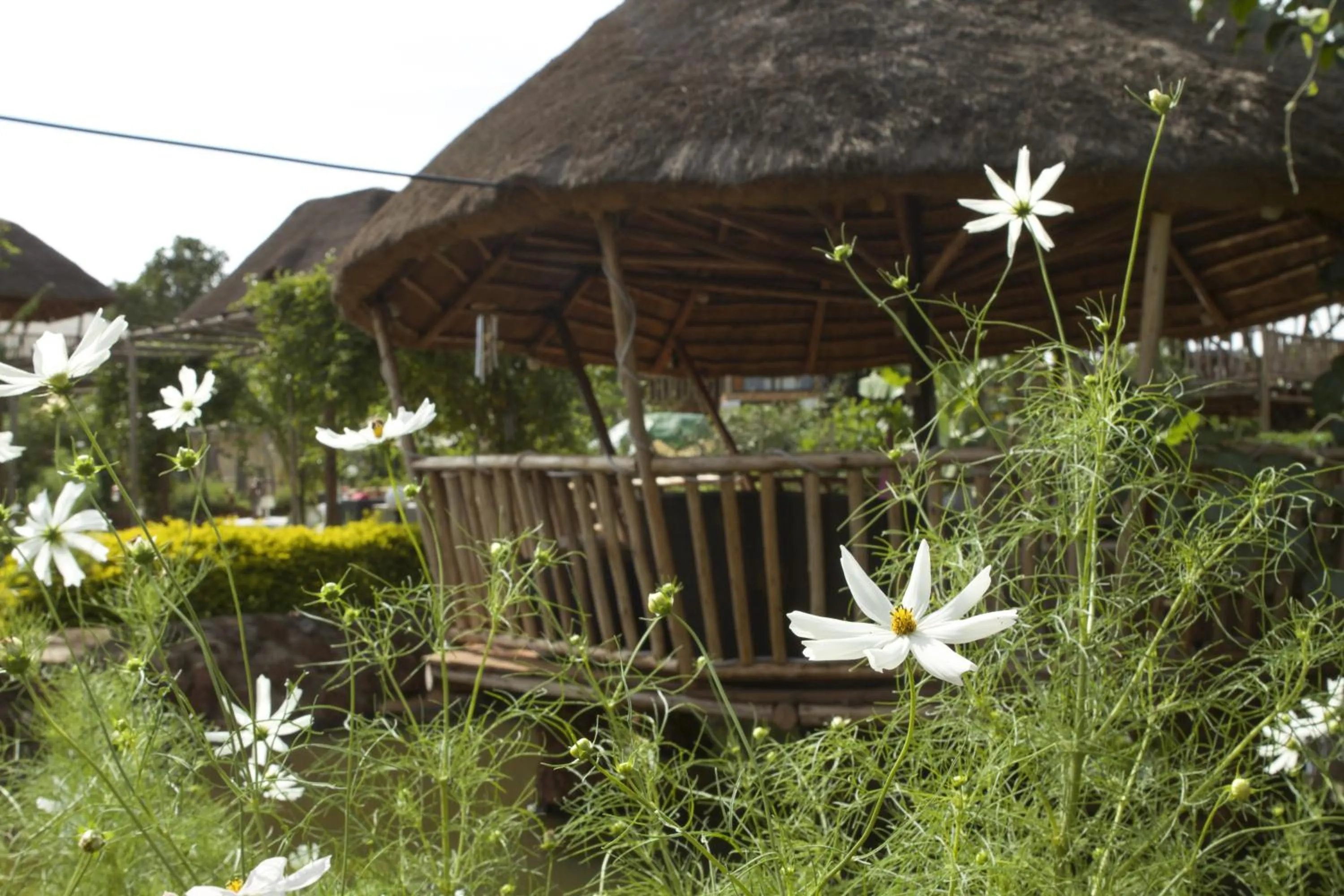 Malakai Eco Lodge