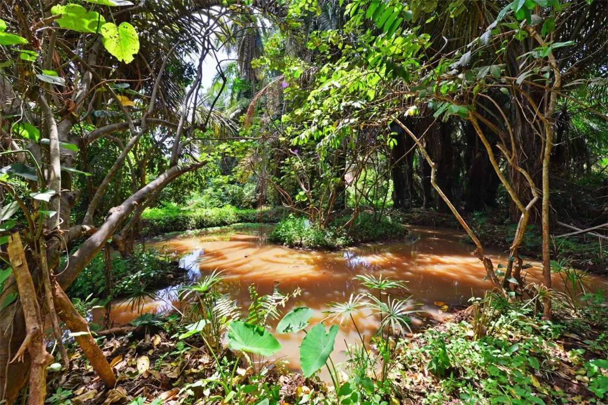 Malakai Eco Lodge