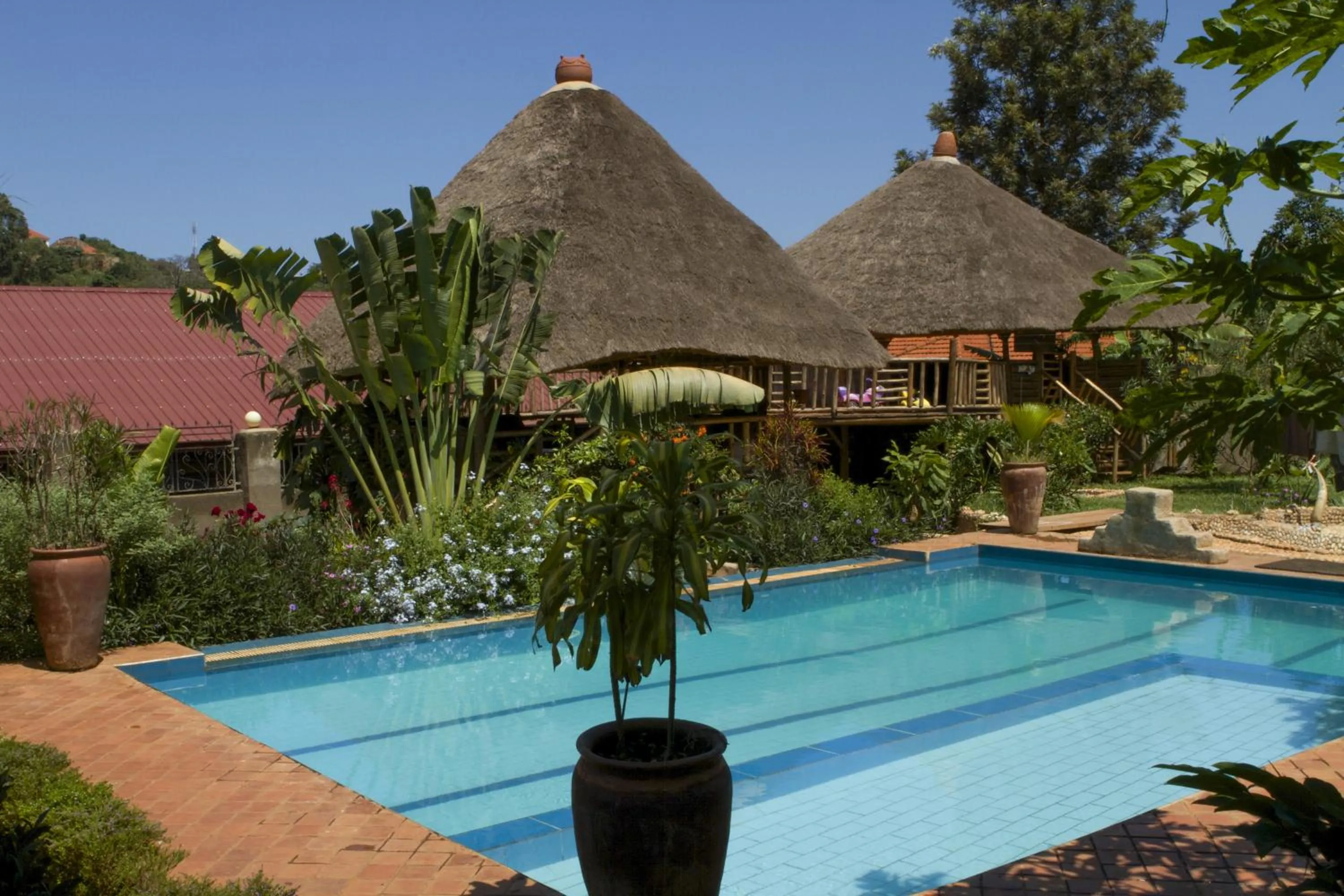 Swimming pool in Malakai Eco Lodge
