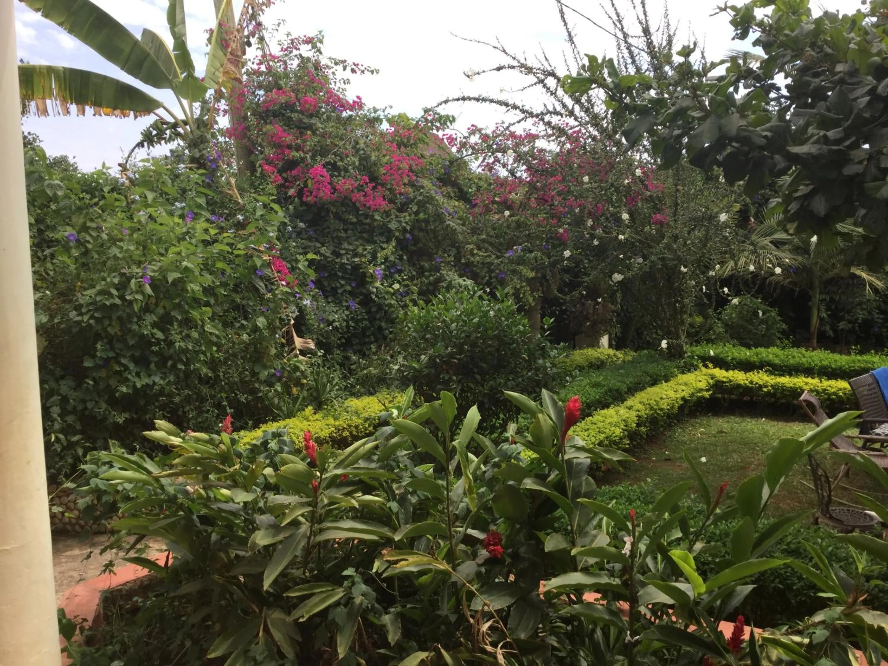 Garden in Malakai Eco Lodge