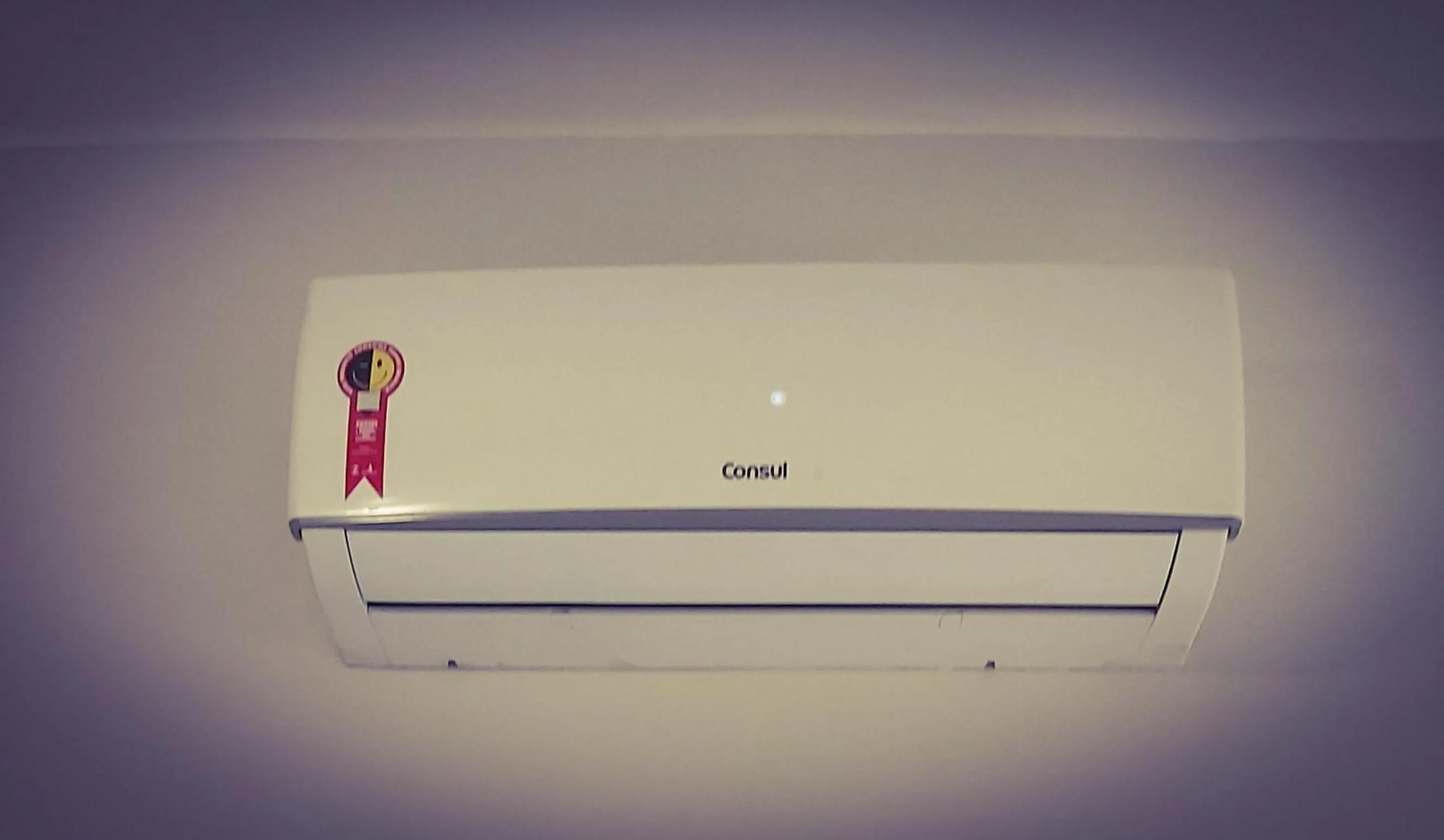 Bulhões de Carvalho 591-602