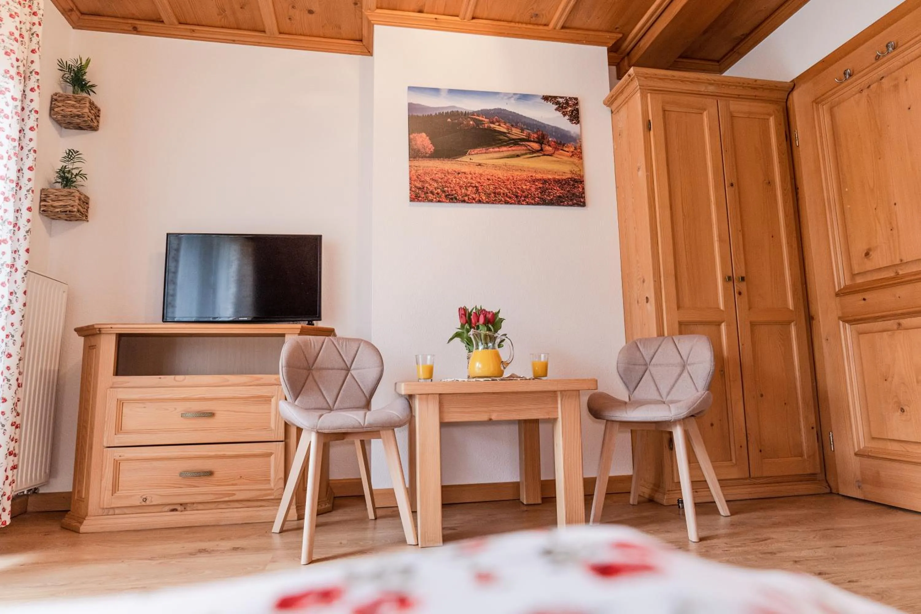 TV and multimedia in Willa jak u Babci