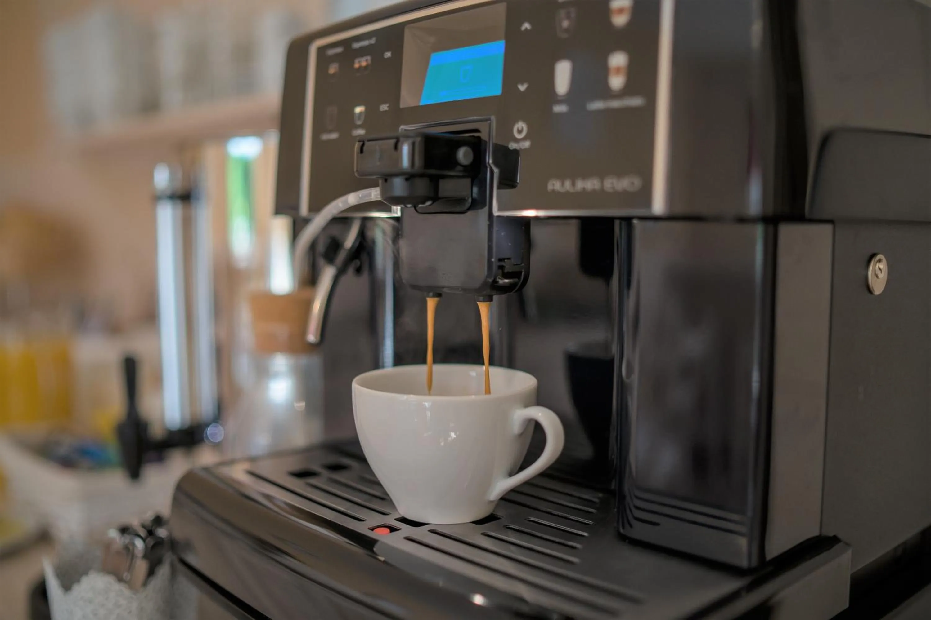 Coffee/tea facilities in Willa jak u Babci