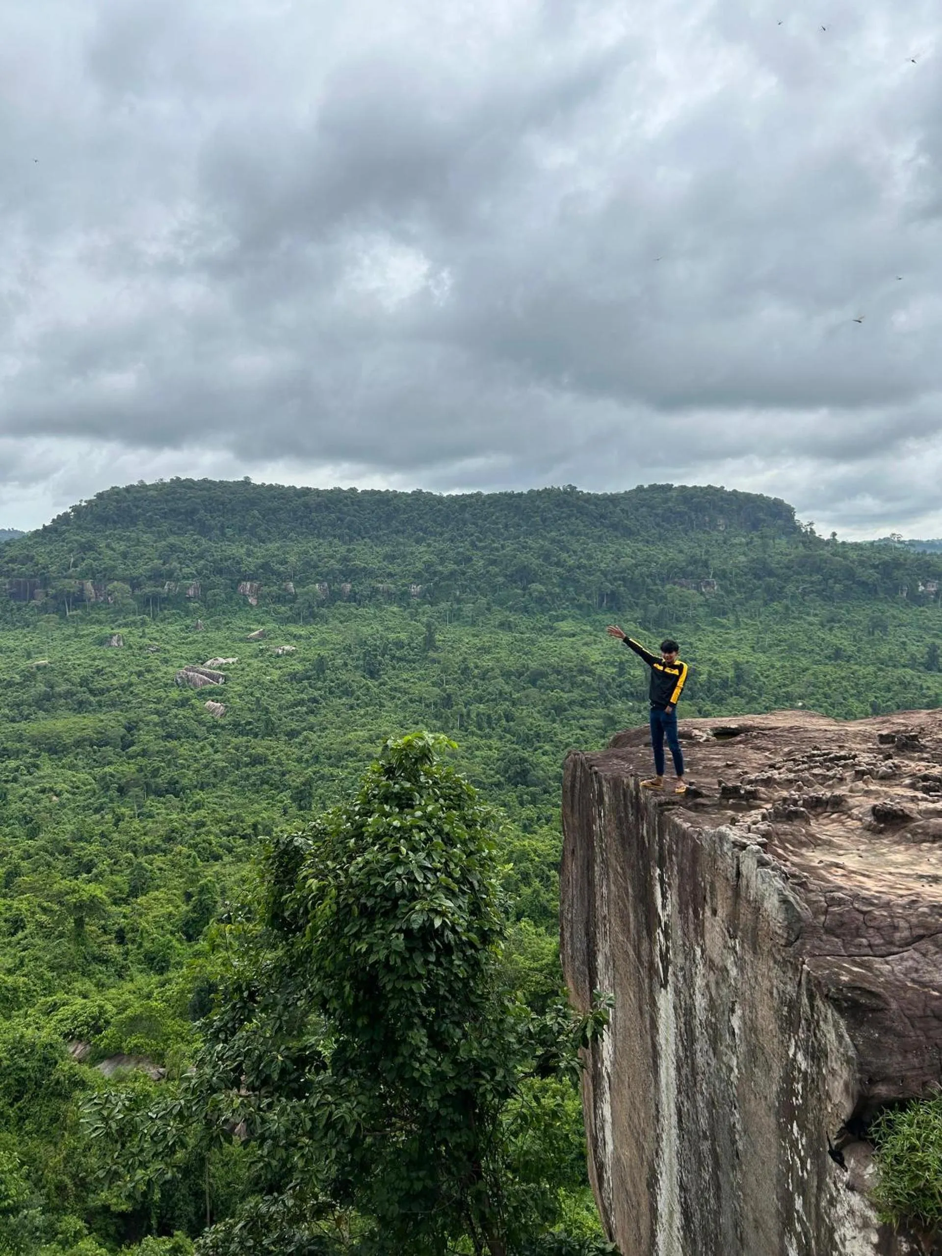 Natural landscape in The Drop Inn