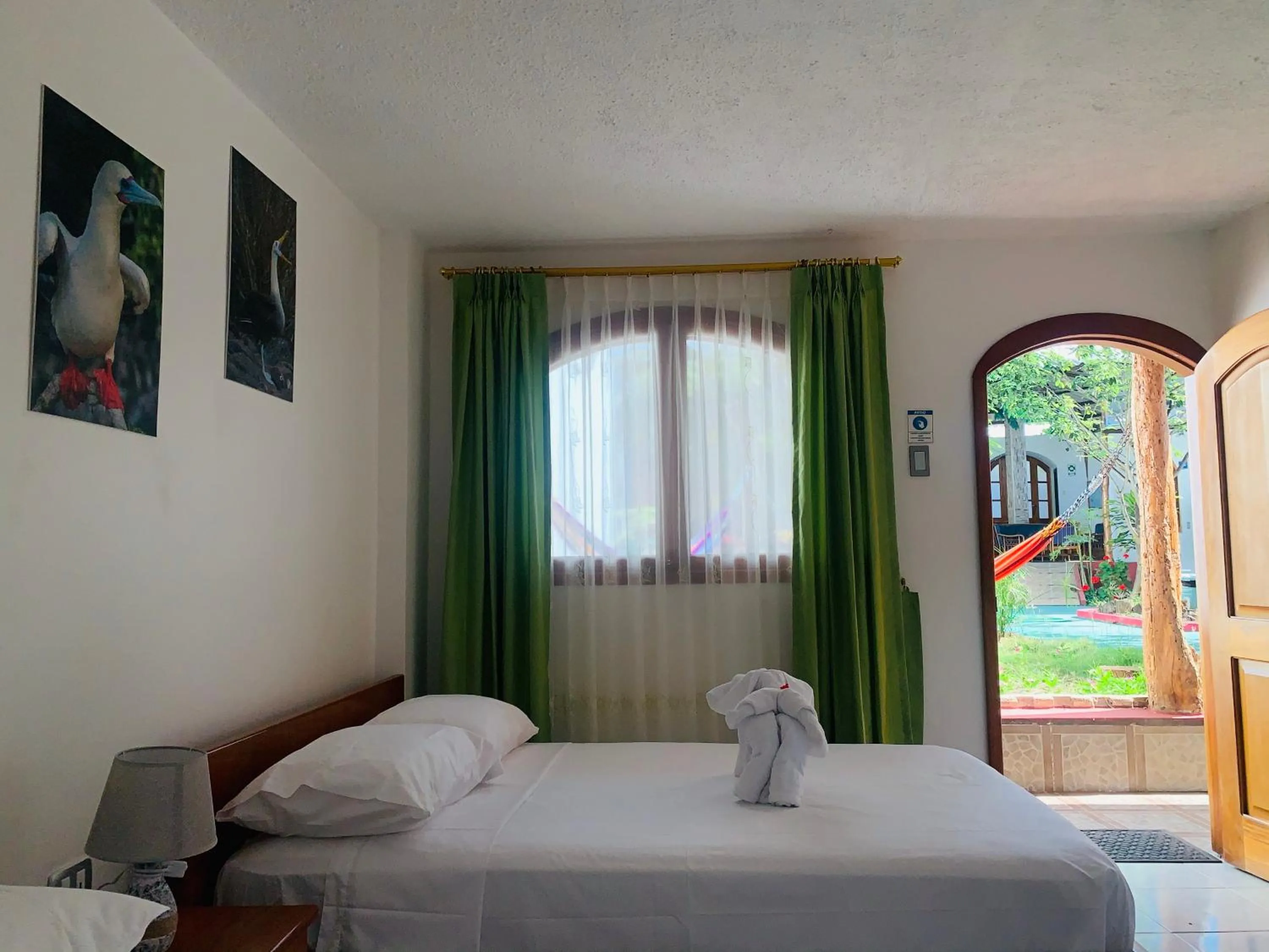 Bed in Hostal White House Galapagos