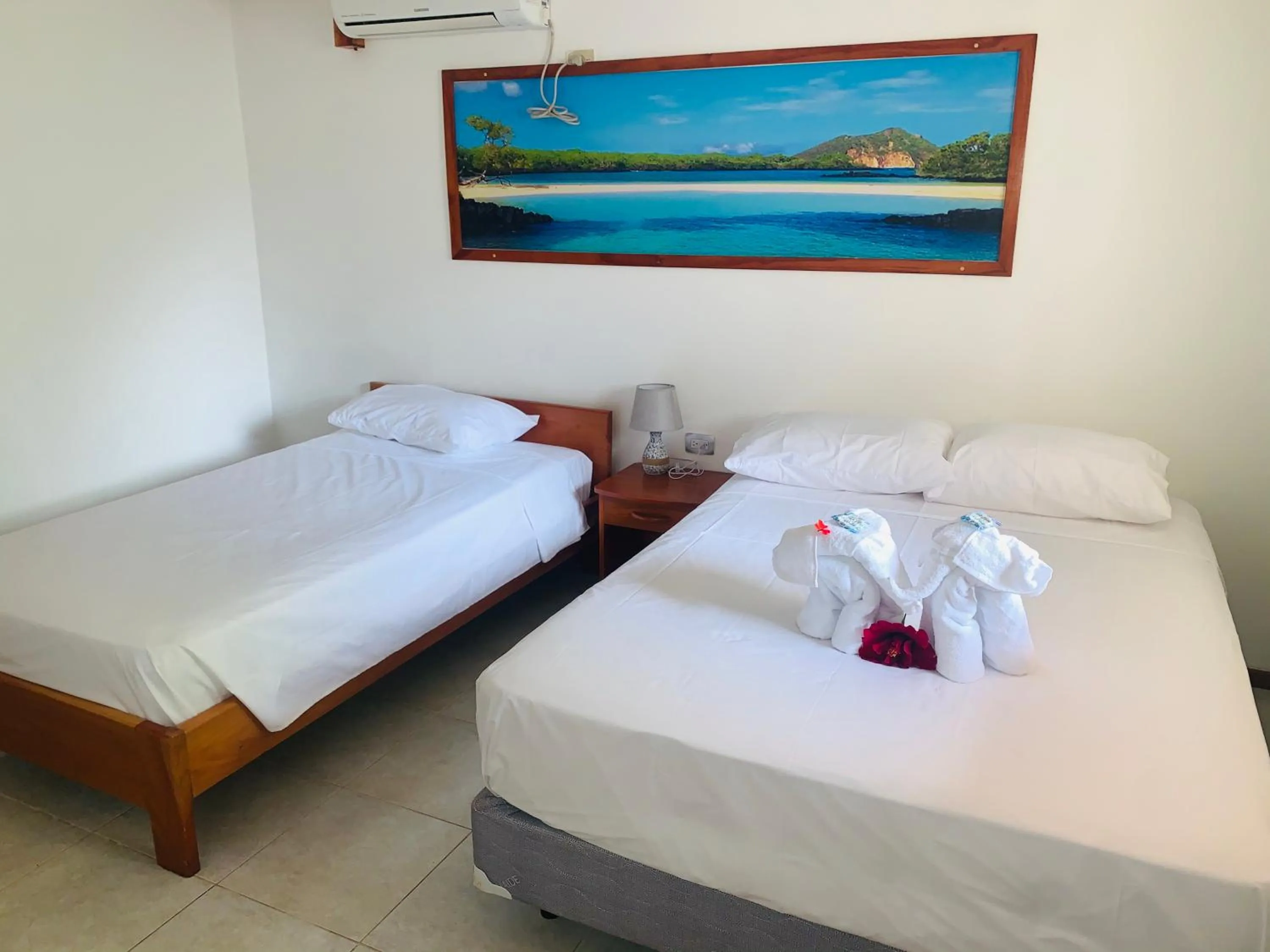 Bed in Hostal White House Galapagos