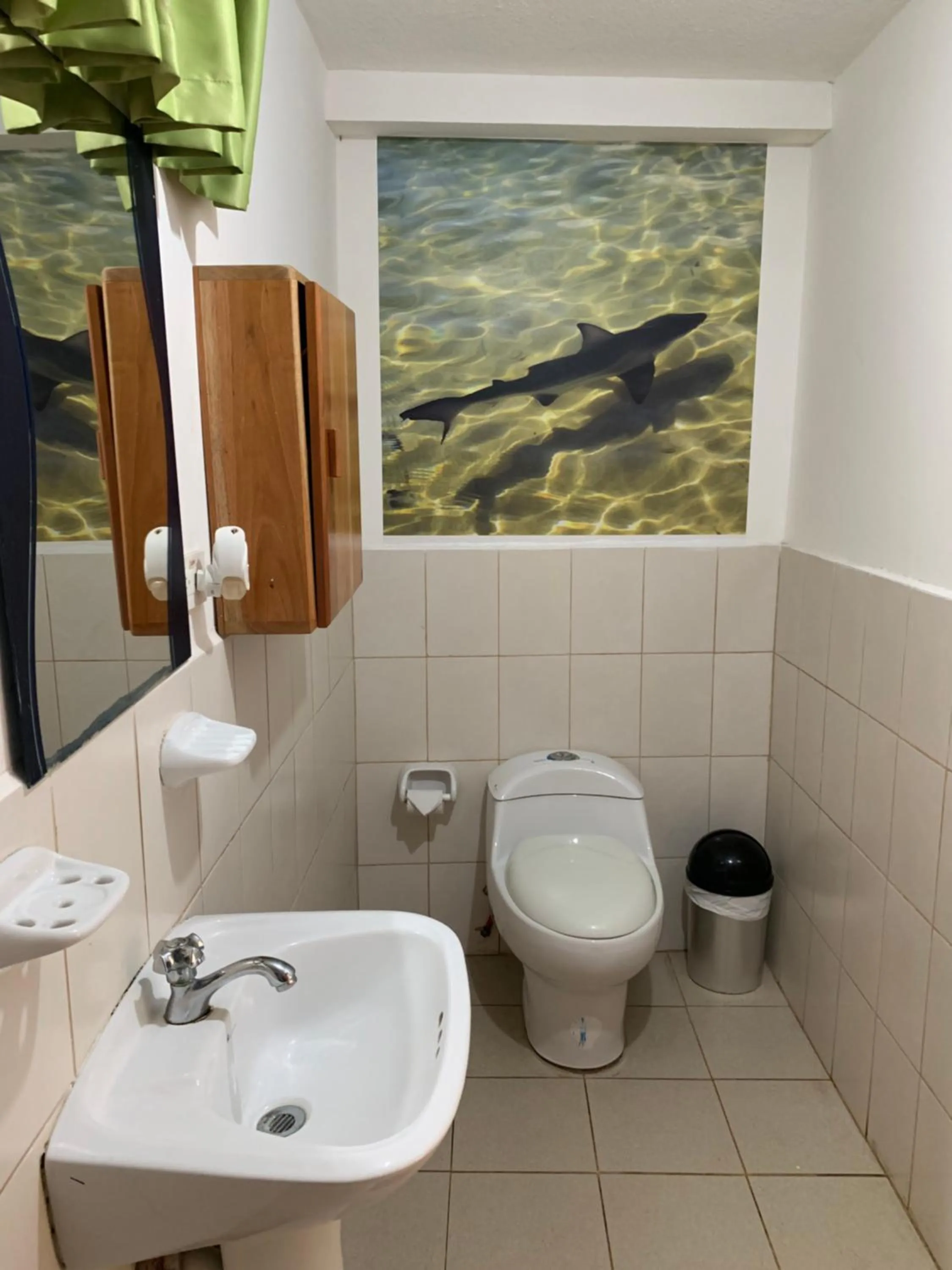 Bathroom in Hostal White House Galapagos