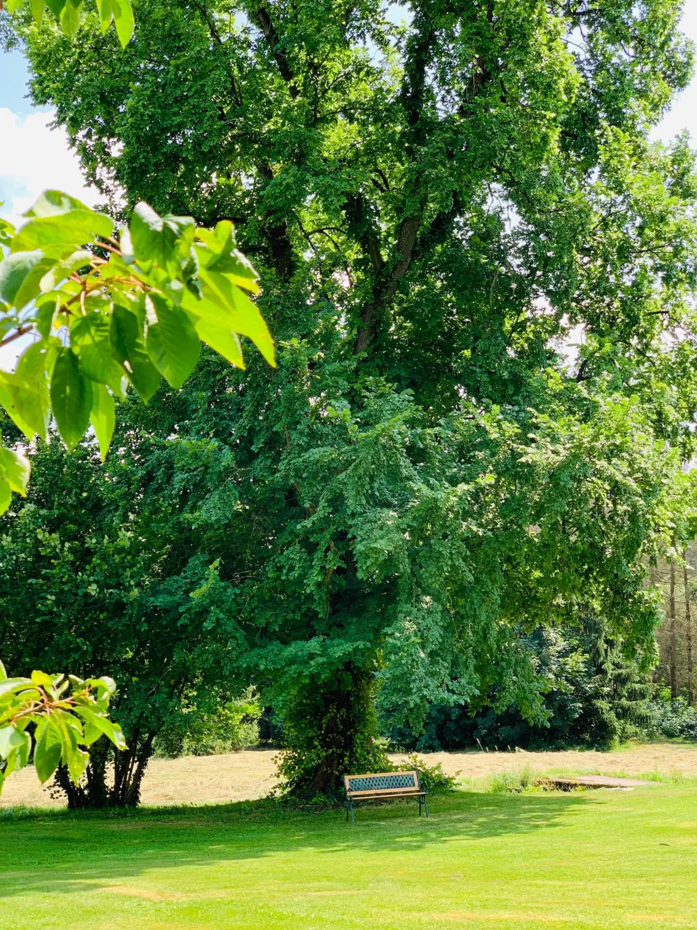 Property building in Jagdschloß Walkenried Property building in Jagdschloß Walkenried