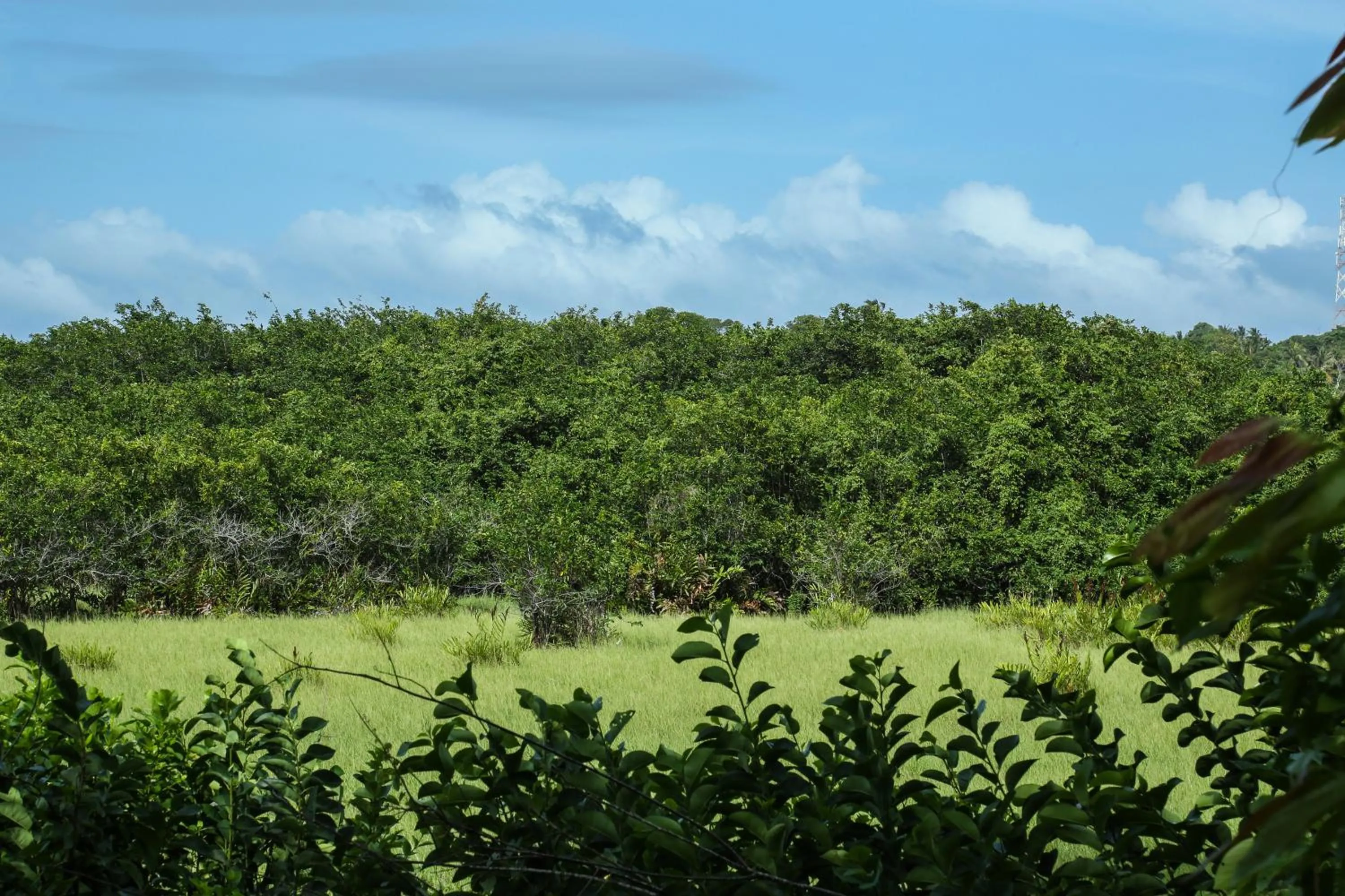 Natural landscape in Ranjith Guest