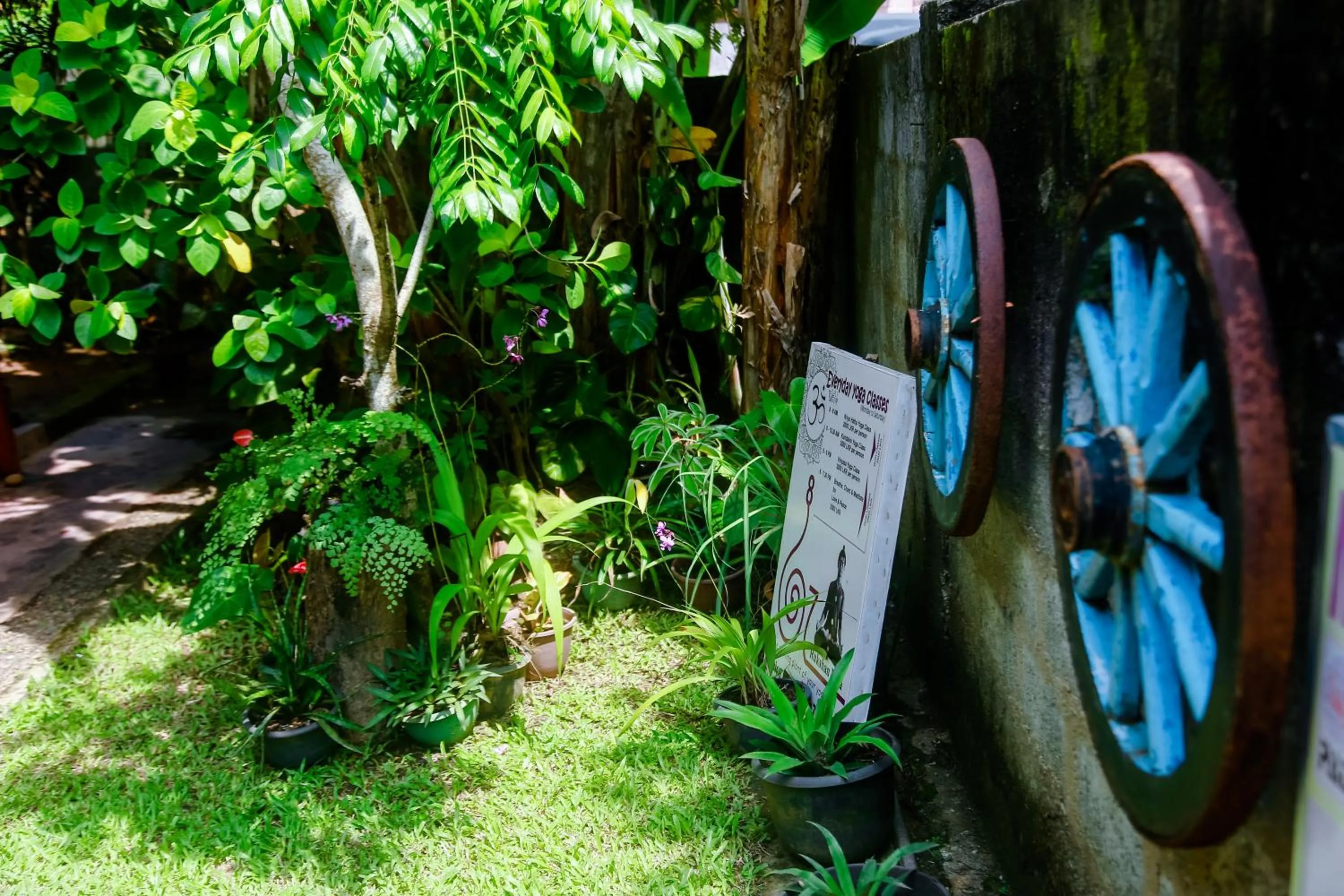 Garden in Ranjith Guest