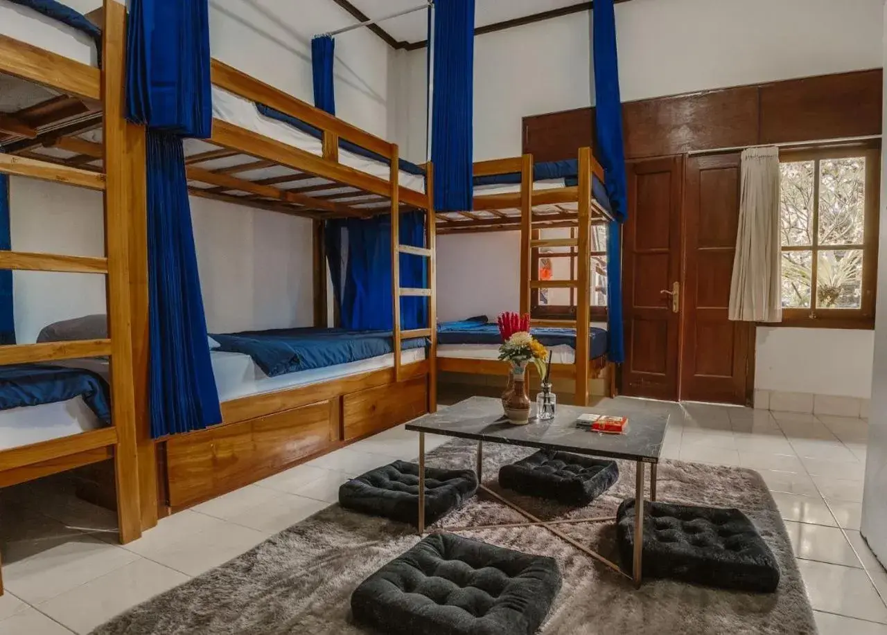 bunk bed, Bed in Ubud Backpacker Hostel bunk bed, Bed in Ubud Backpacker Hostel