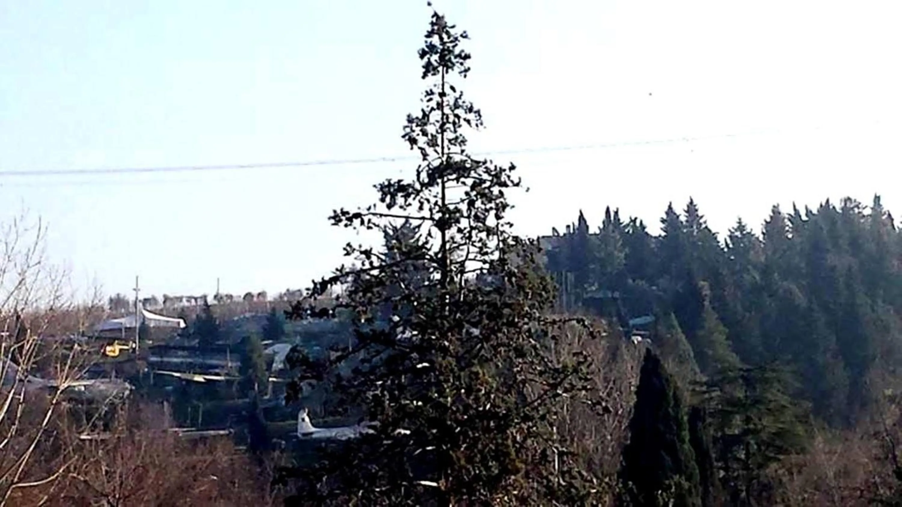 View (from property/room) in Hotel Main Street