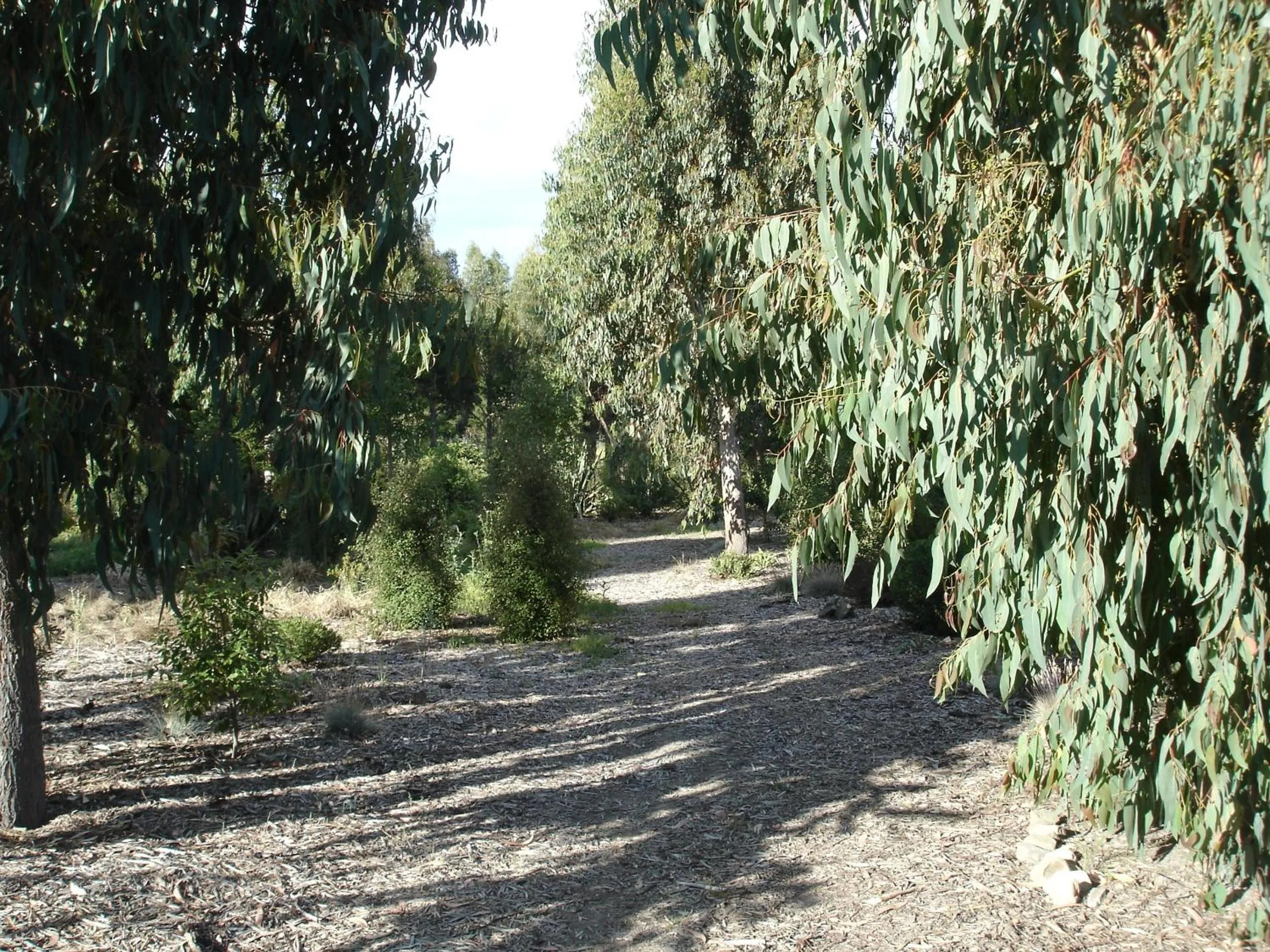 On site in Posto Bello