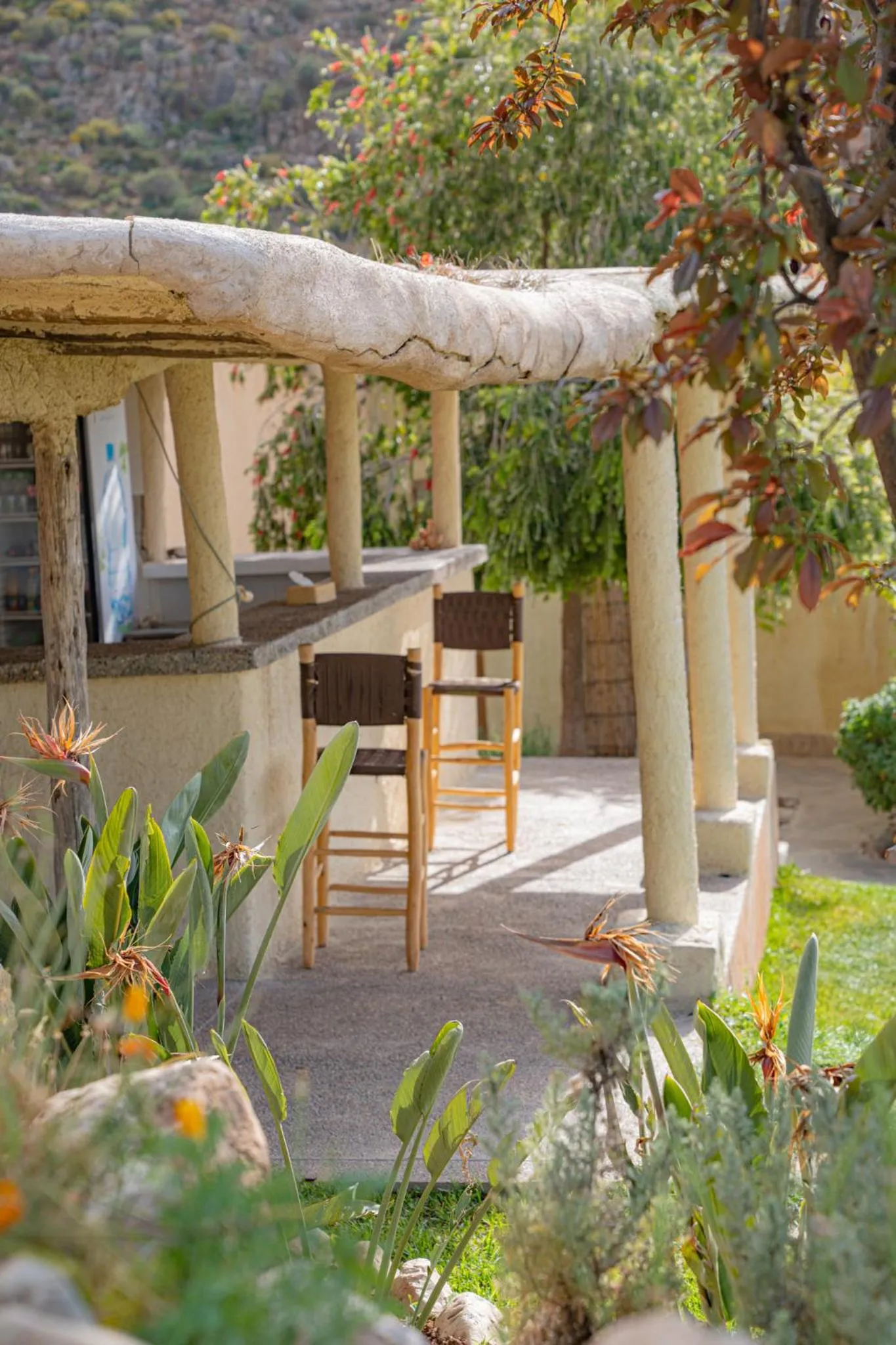 Garden in Dar El Mandar - Ferme & Table d'Hôte Berbère