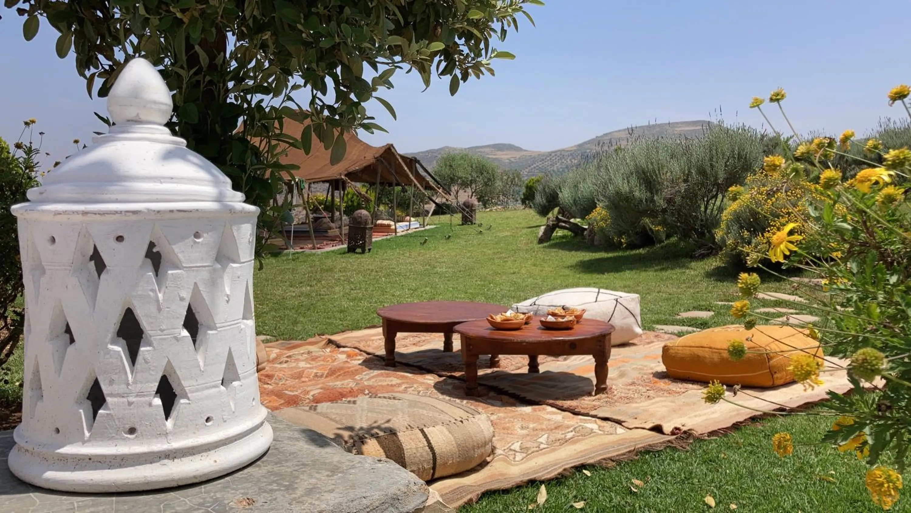 Garden in Dar El Mandar - Ferme & Table d'Hôte Berbère