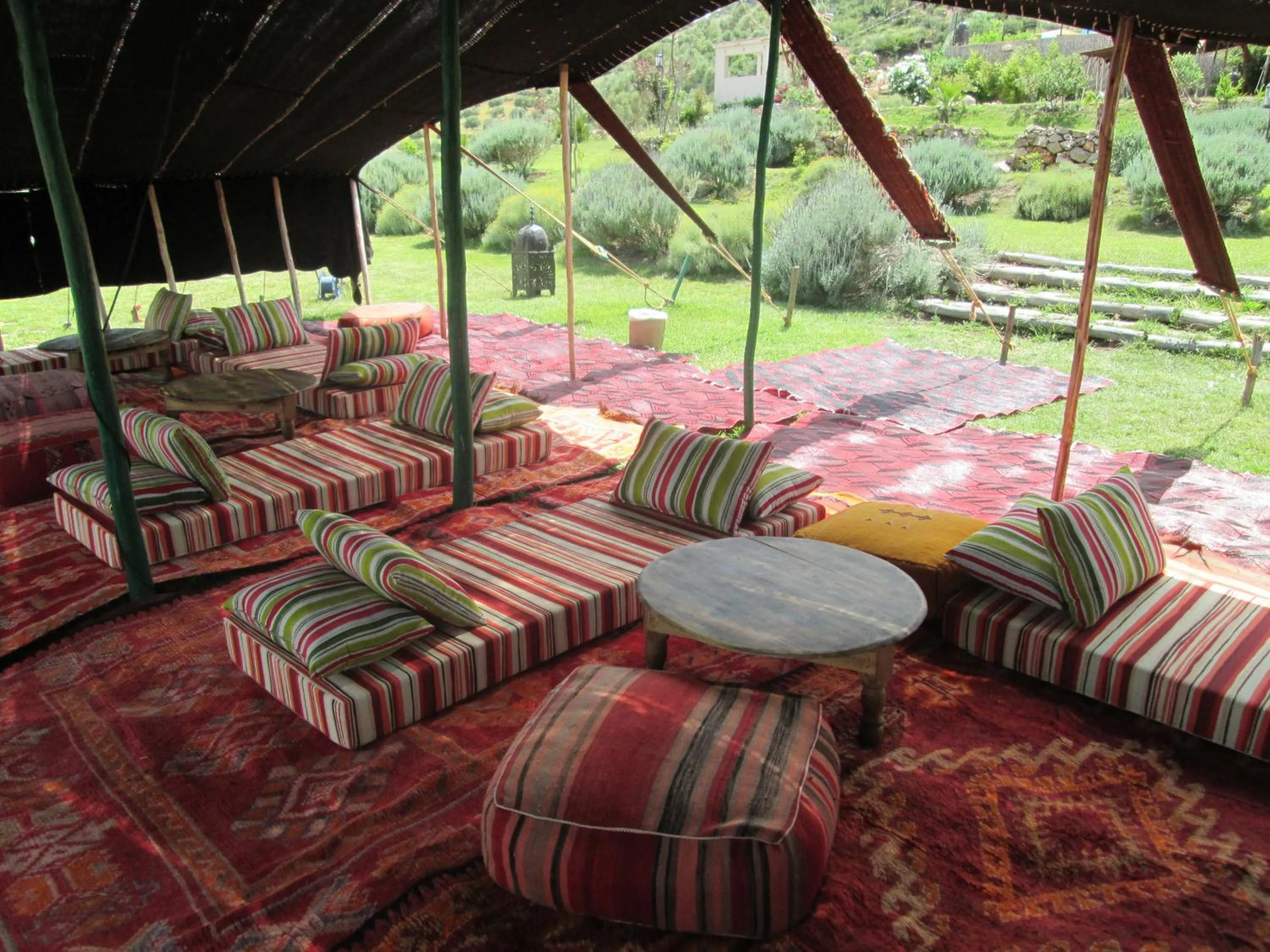 Other in Dar El Mandar - Ferme & Table d'Hôte Berbère