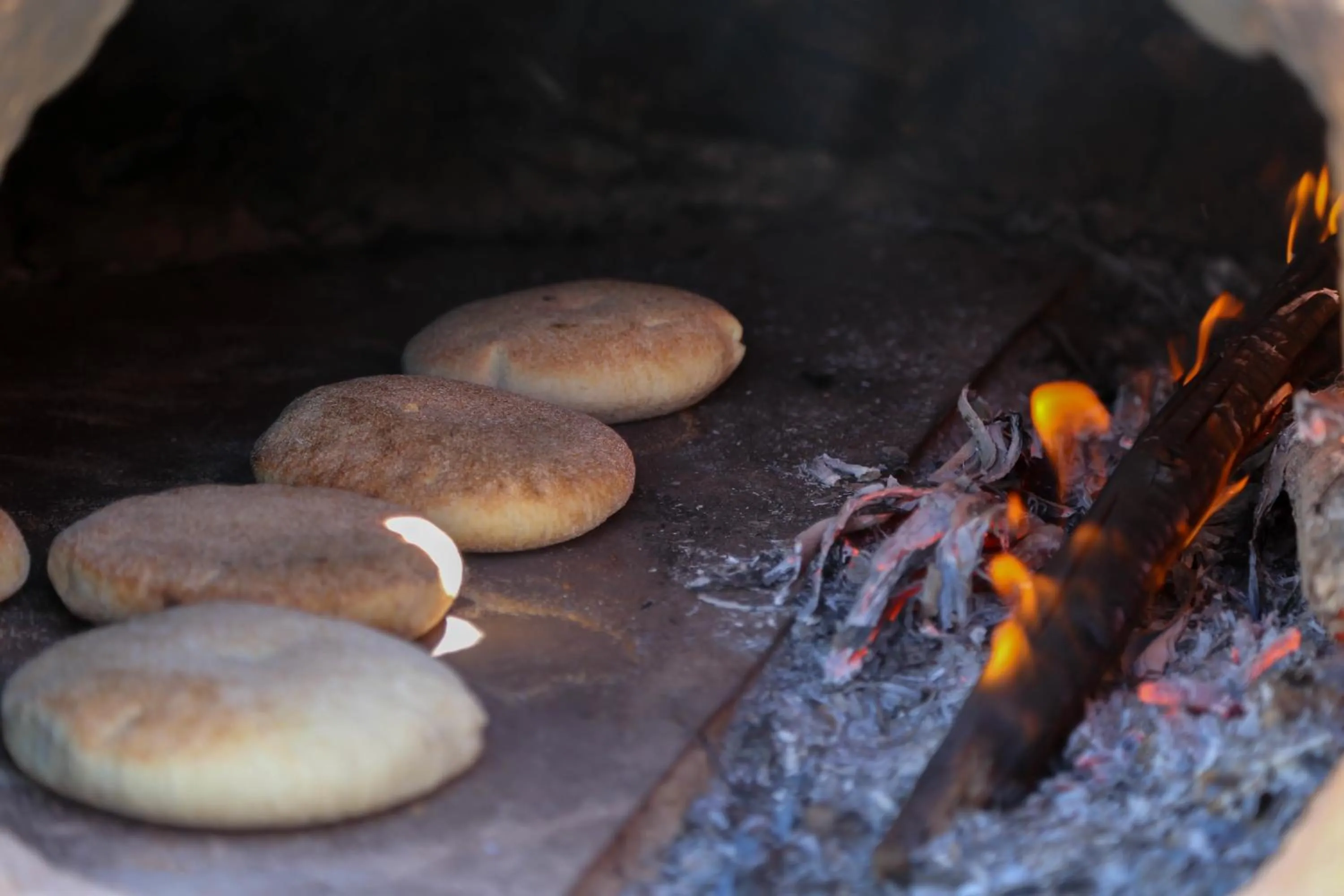 Other in Dar El Mandar - Ferme & Table d'Hôte Berbère