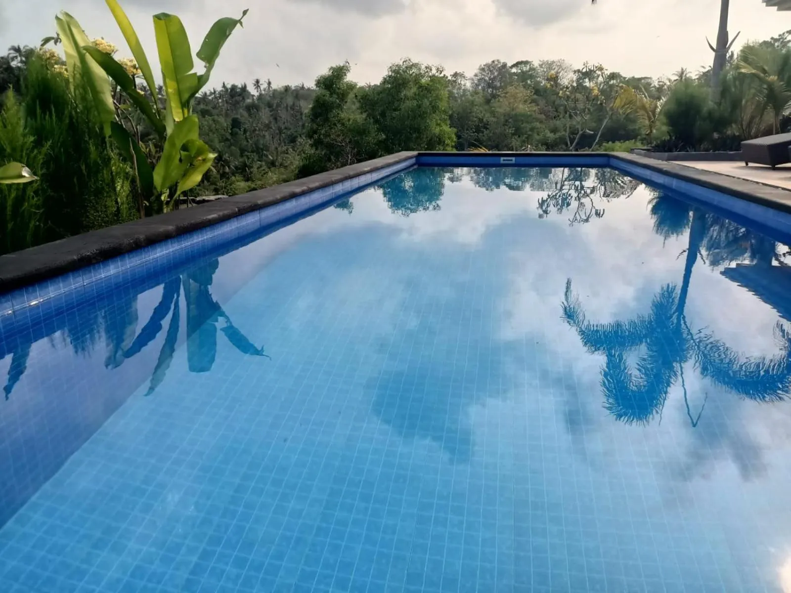 Swimming pool in Kelingking Paradise Suites Villa