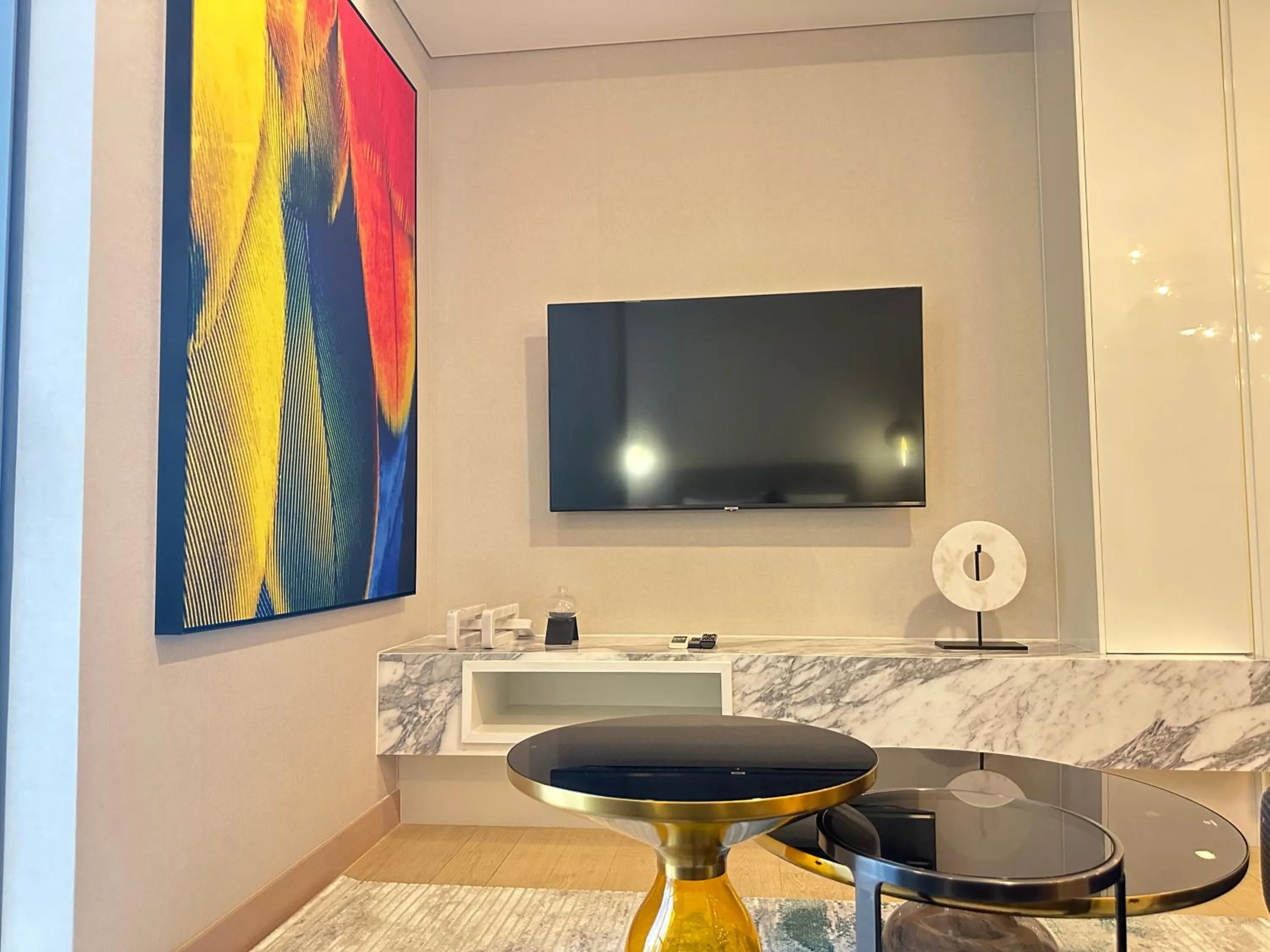 TV and multimedia in Siamese Exclusive Queens