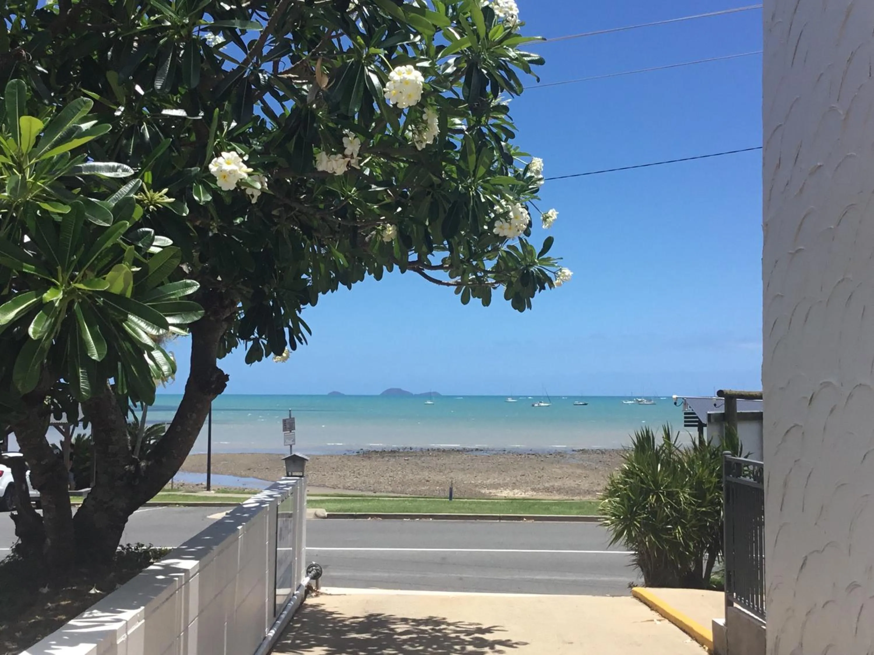 Natural landscape in Whitsunday Waterfront Apartments