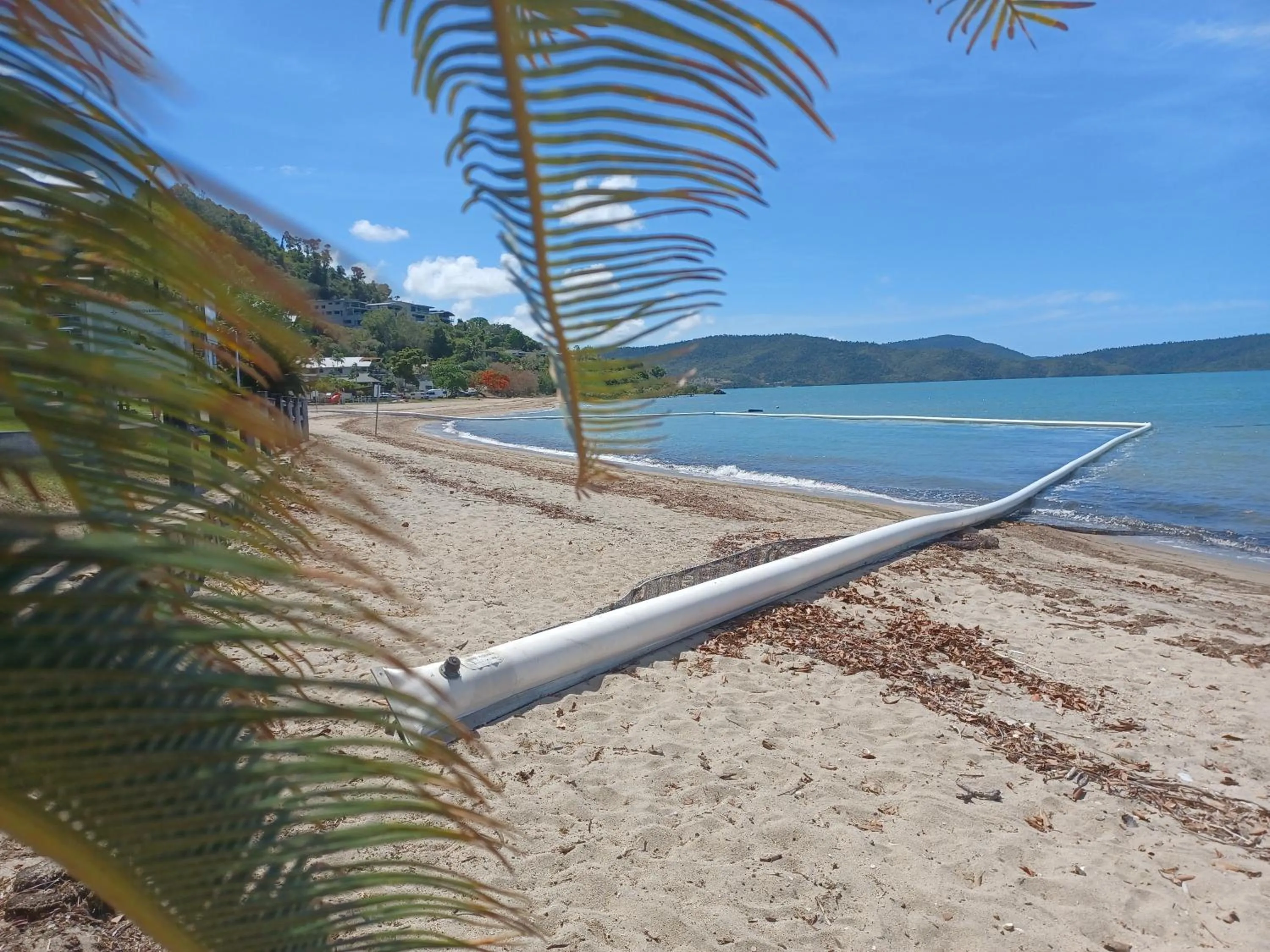 Beach in Whitsunday Waterfront Apartments