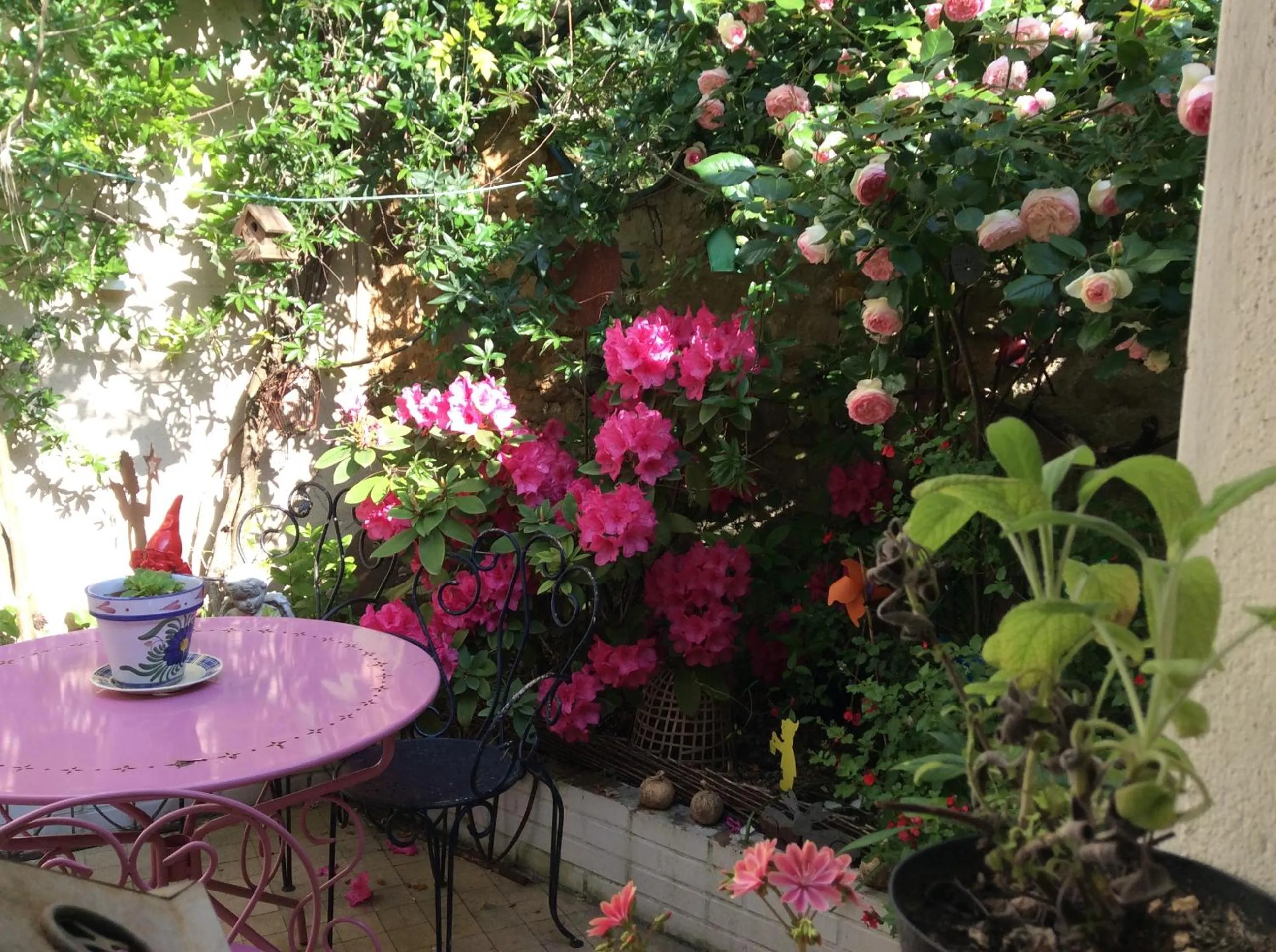 Garden in La Mancelle - Chambre d'hôtes