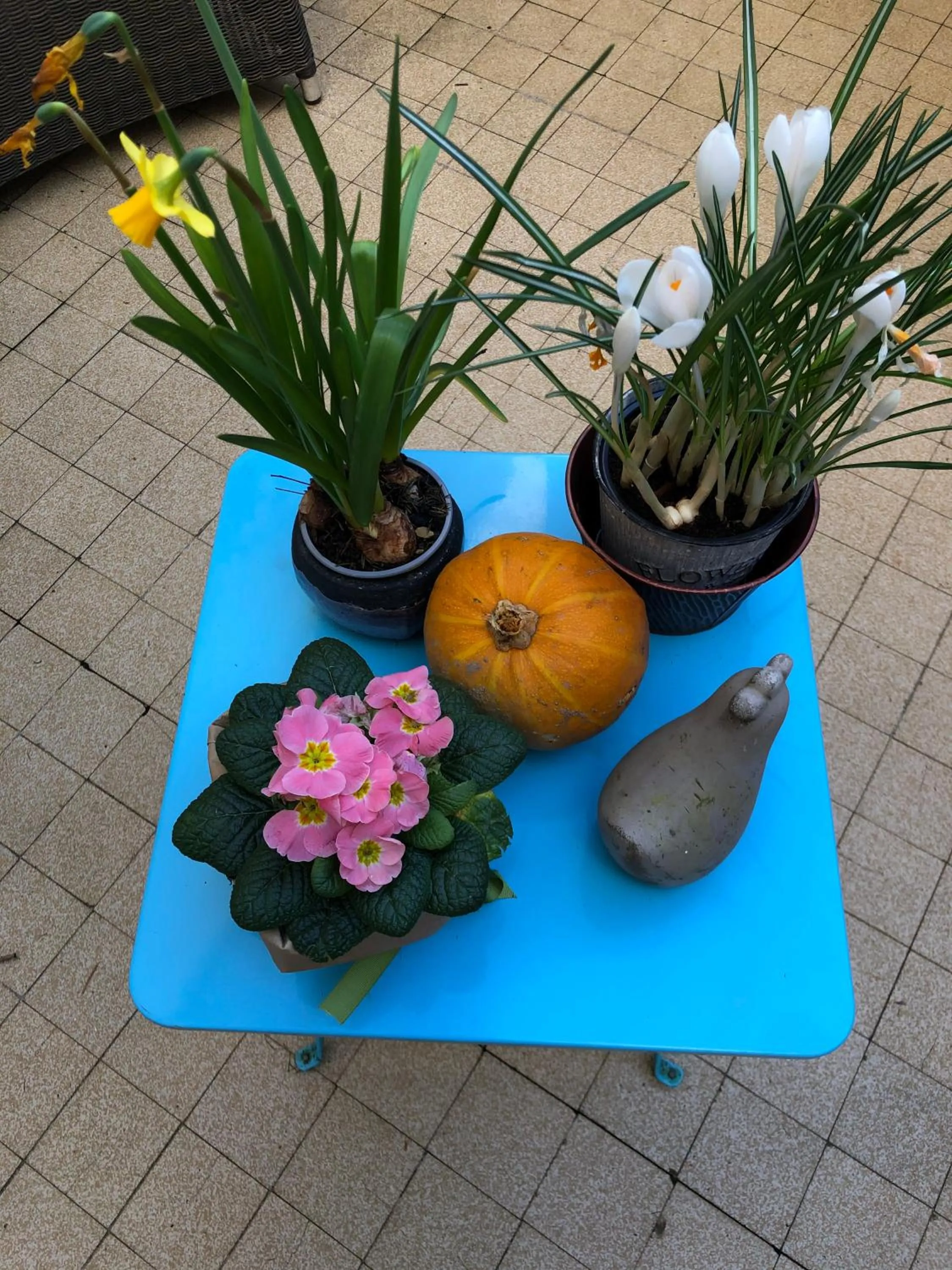 Spring in La Mancelle - Chambre d'hôtes