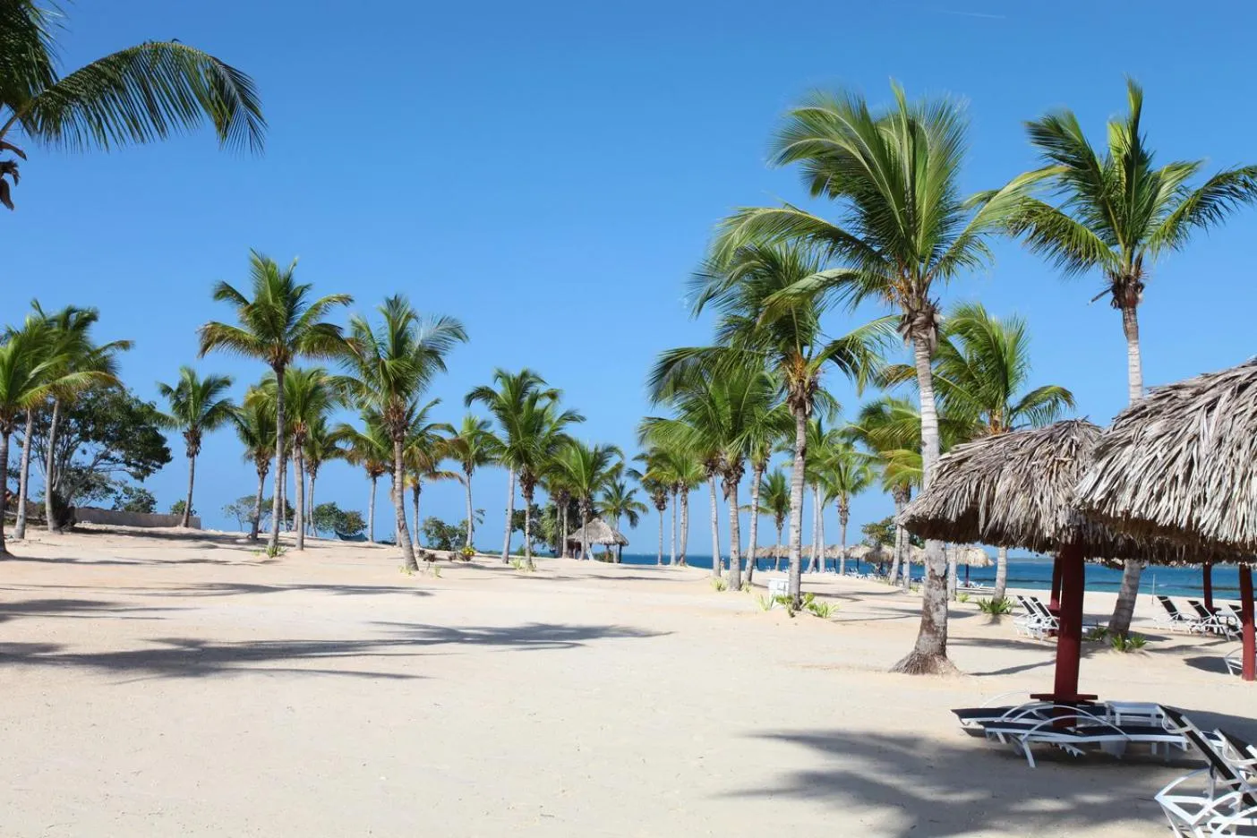 Nearby landmark in Bahia Principe Luxury Bouganville - Adults Only All Inclusive