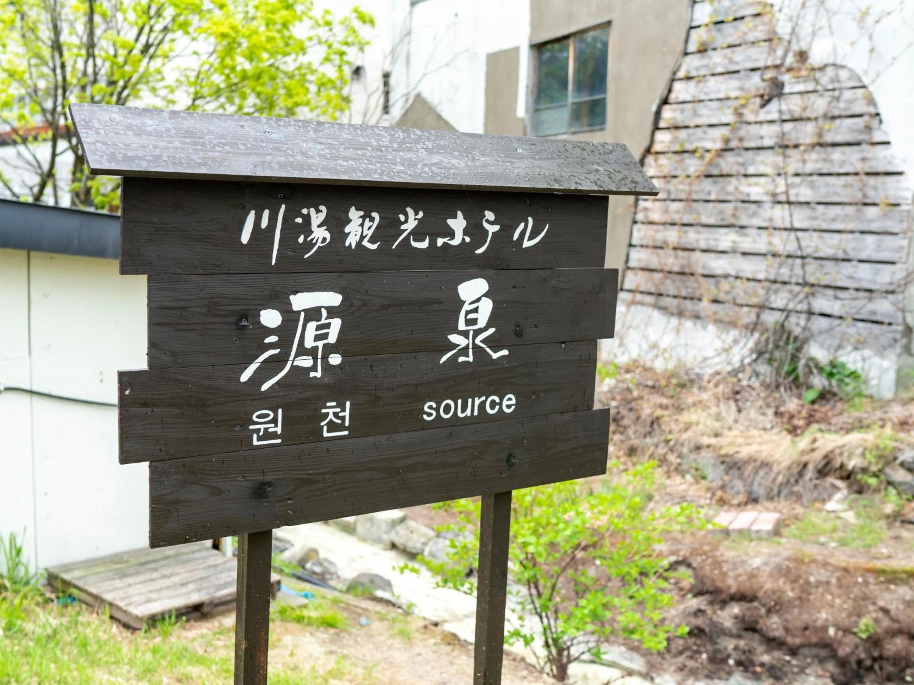 Decorative detail in Kawayu Kanko Hotel