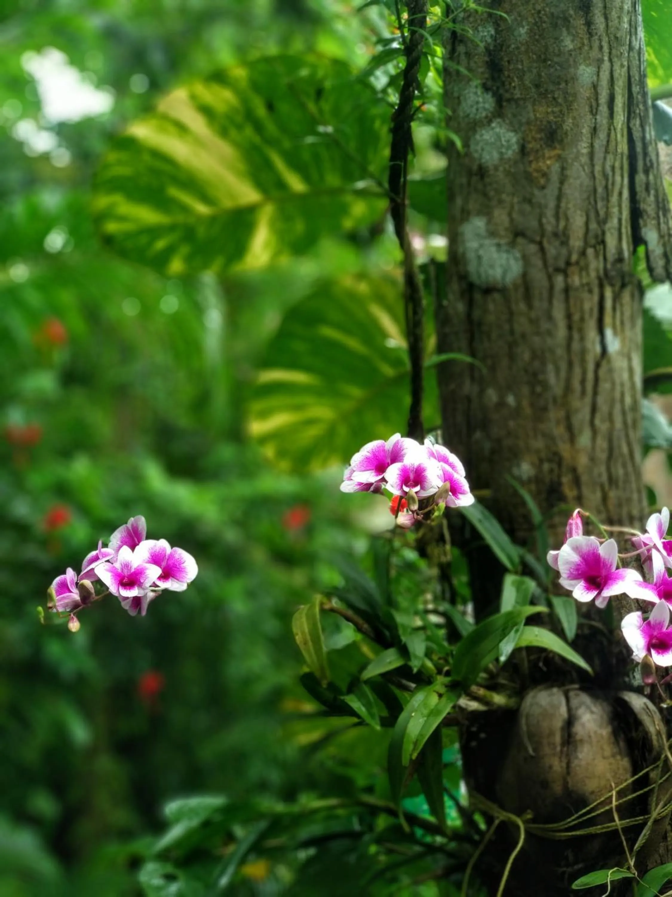 Marari Umapathi Beach Villa
