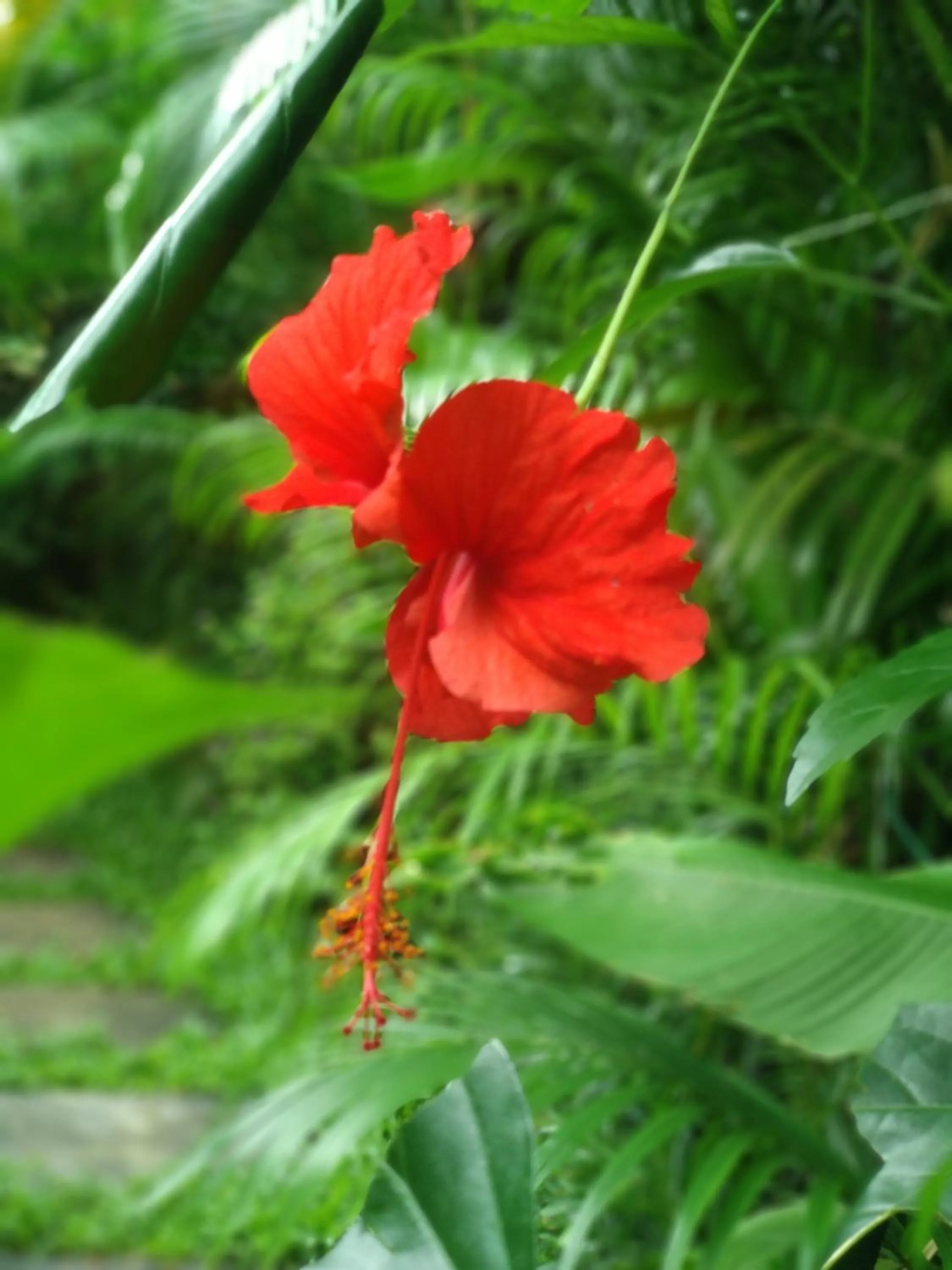Marari Umapathi Beach Villa