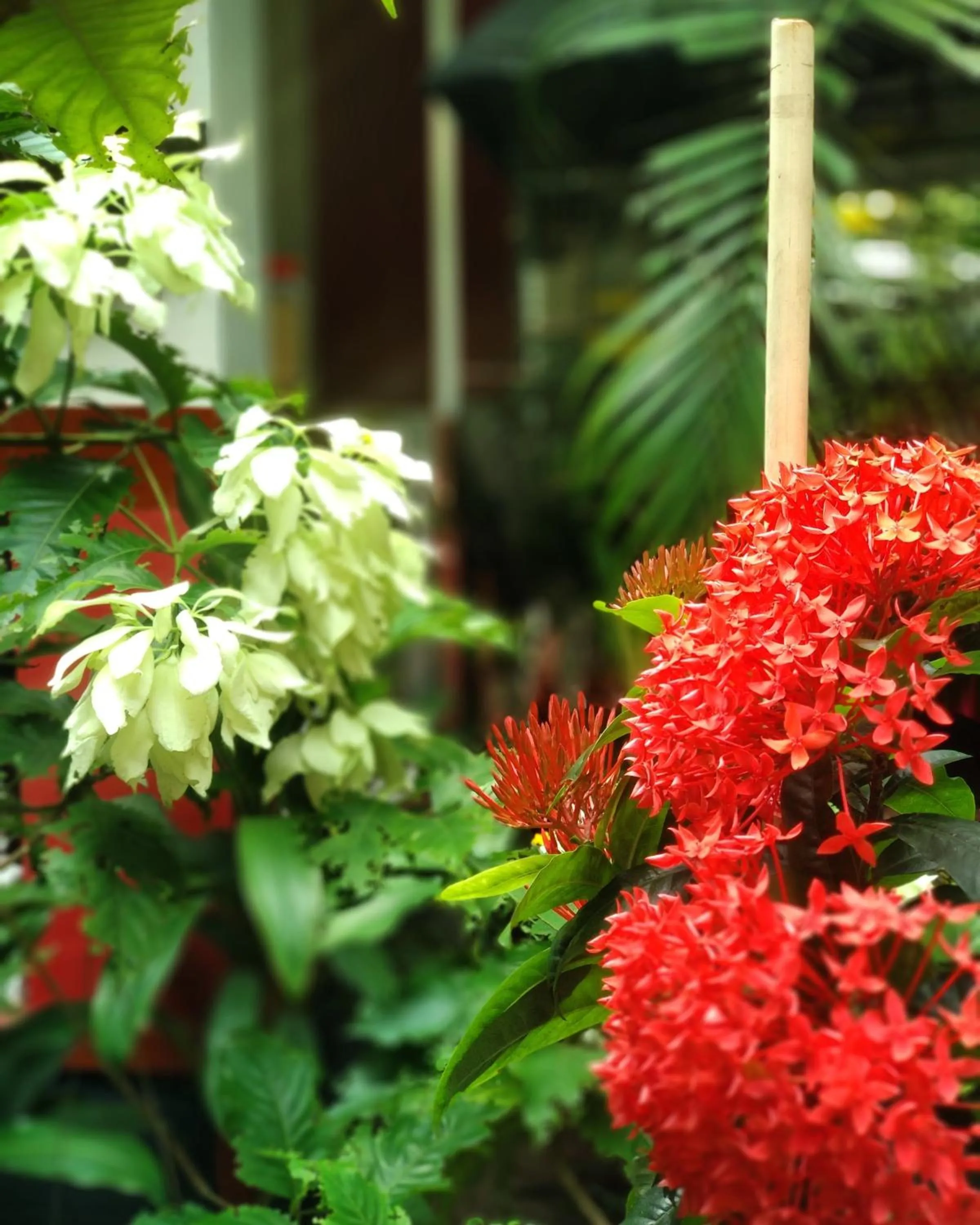 Marari Umapathi Beach Villa