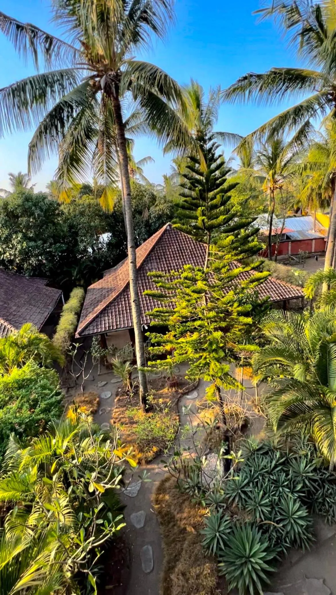 Garden in Villa Bulan Madu Gili Air