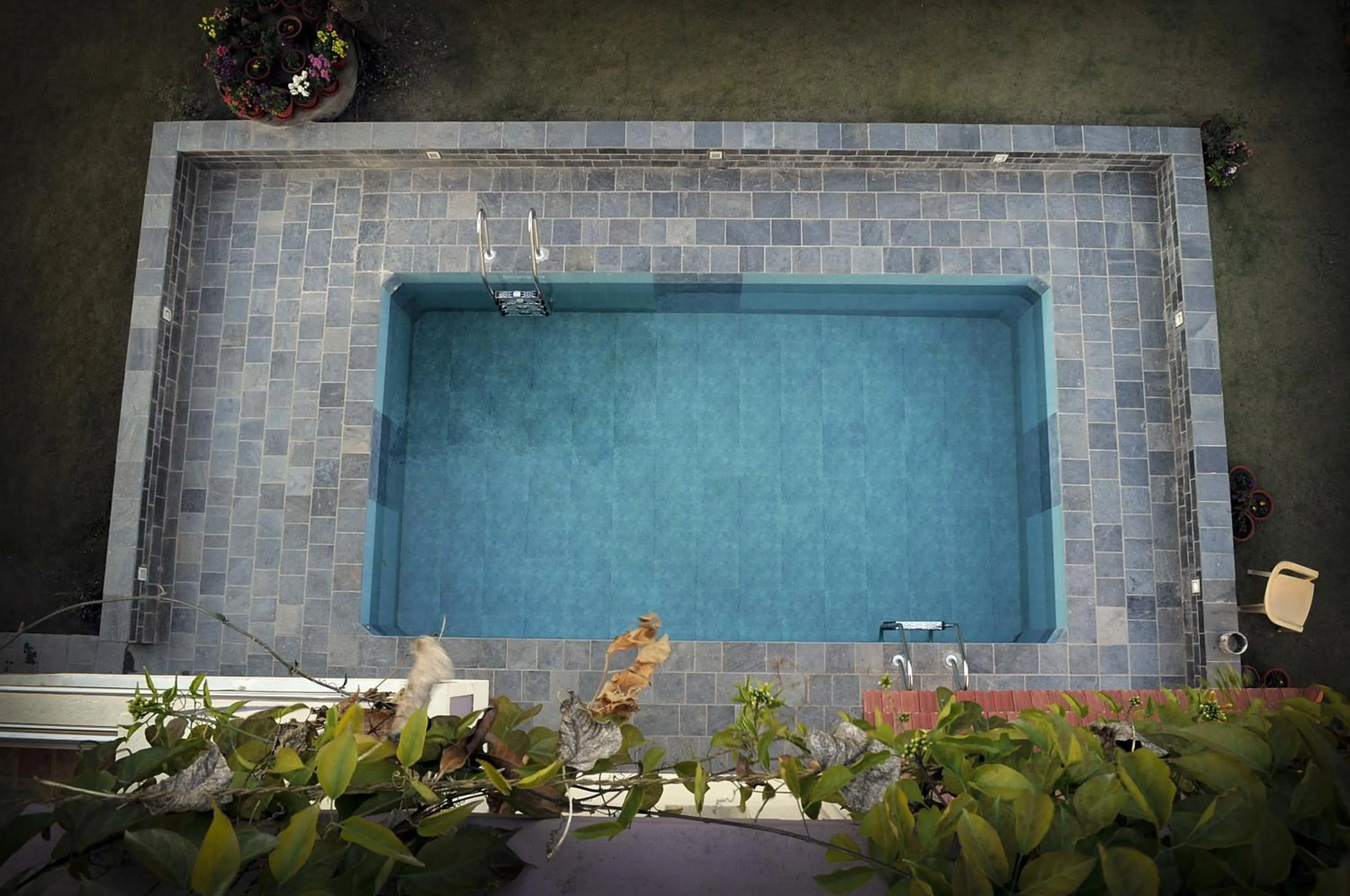 Swimming pool in Nirvana Home