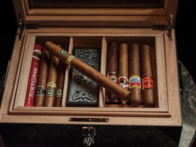 Lounge or bar in HOTEL de L'ALPAGE