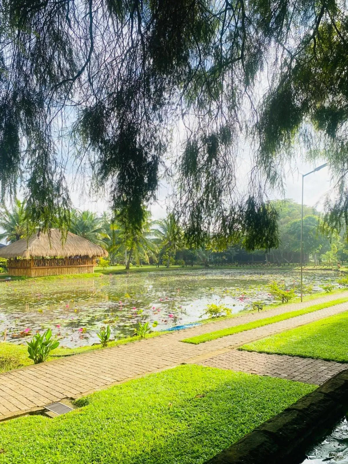 Property building in Avasta Resort Wijaya Leisure