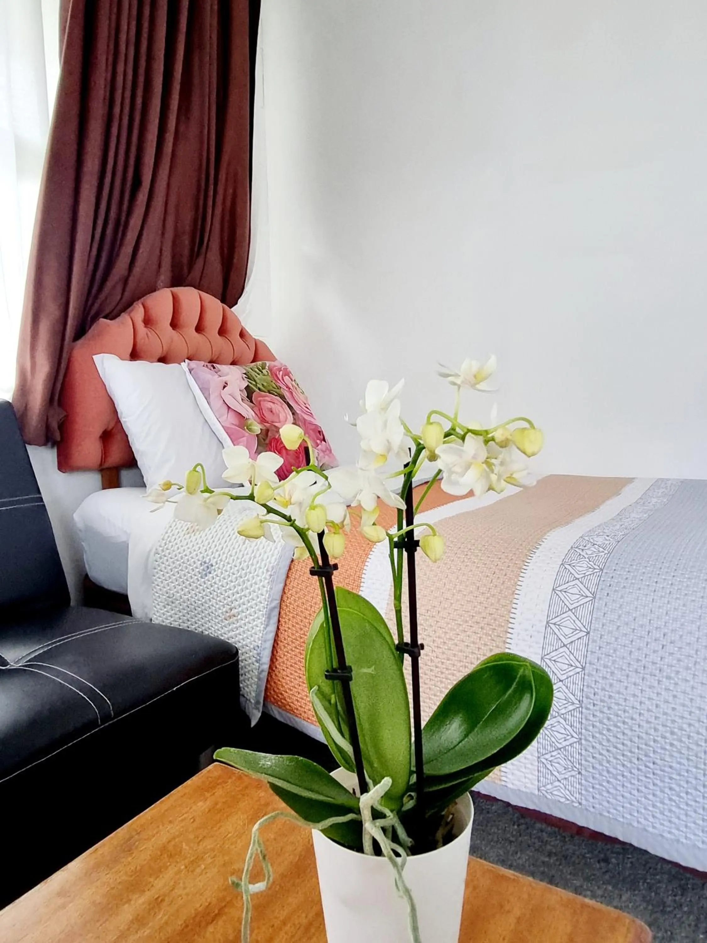 Living room, Bed in Cedar Lodge Motel Hamilton