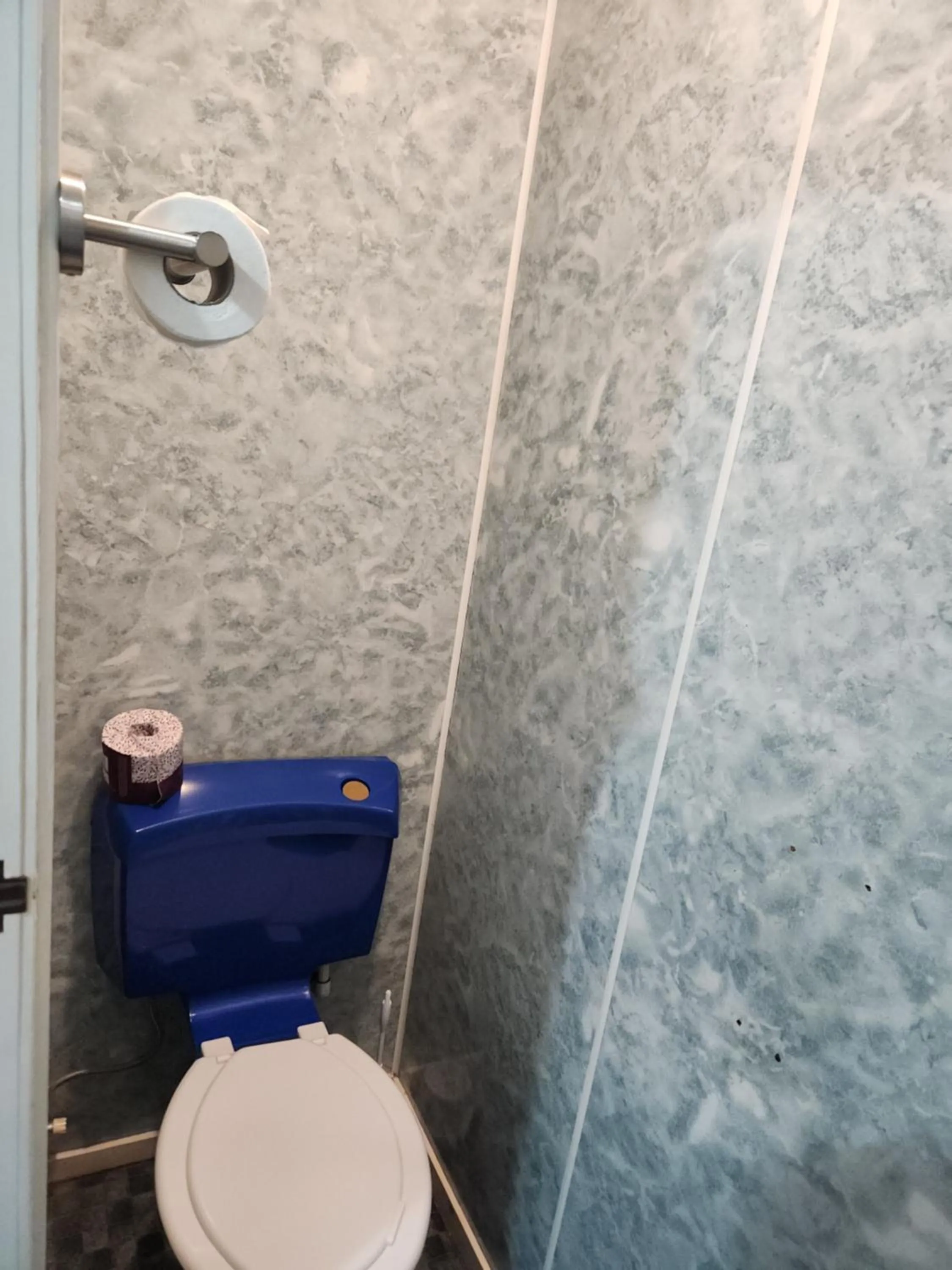 Toilet in Cedar Lodge Motel Hamilton