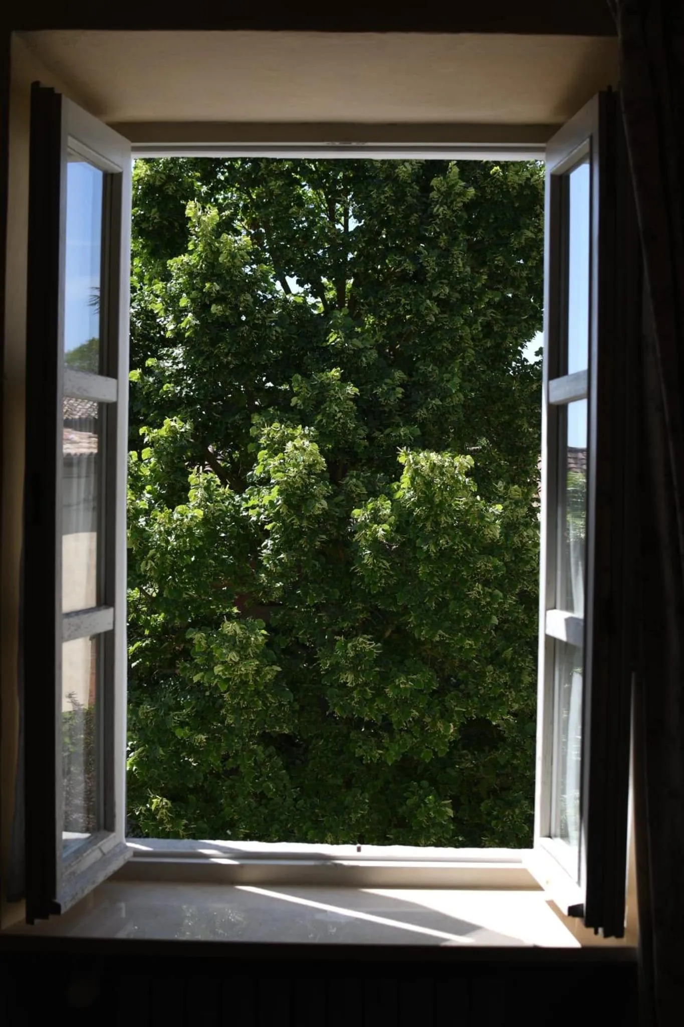 Garden view in Casa Rovelli