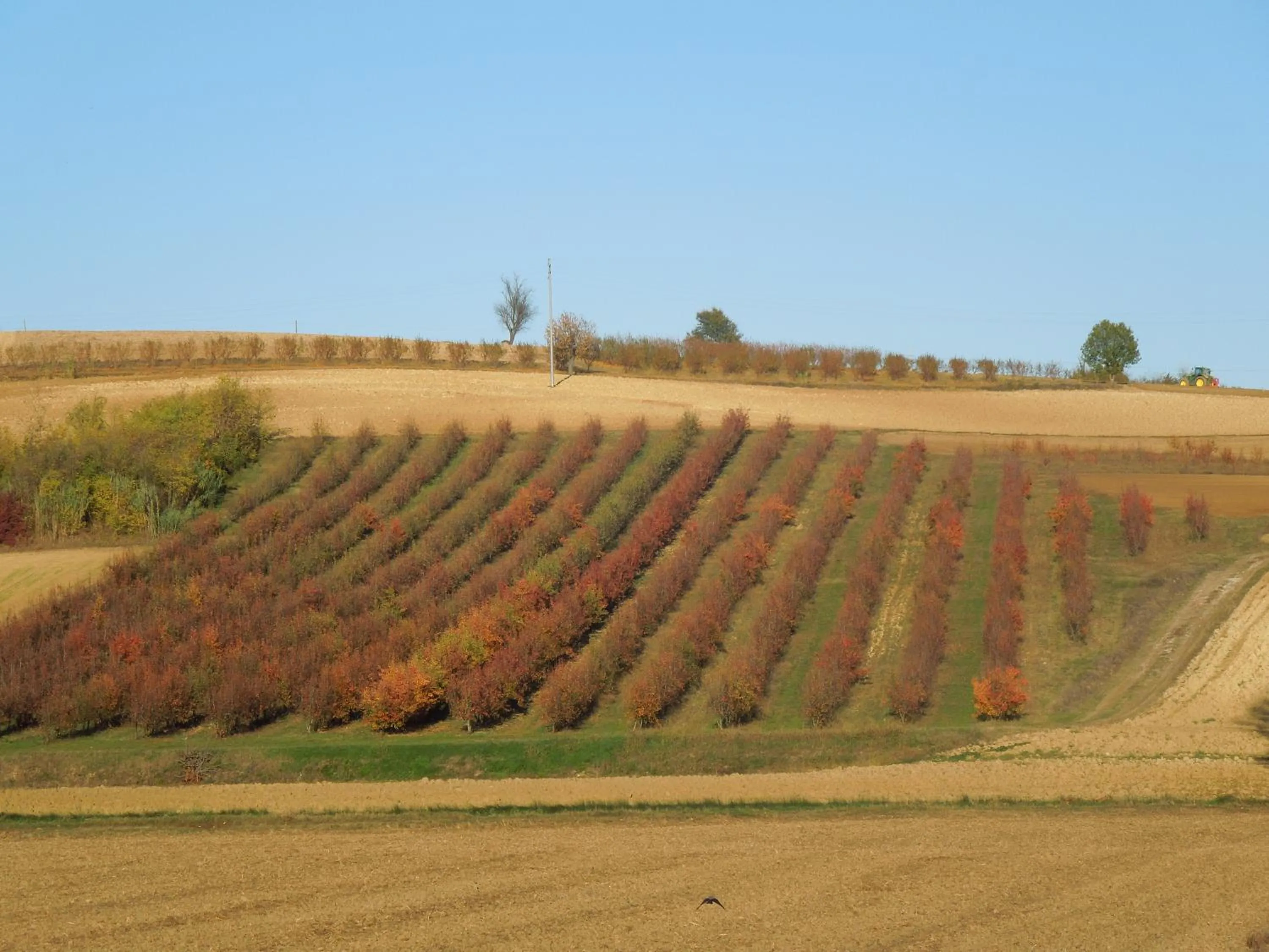 Natural landscape in Casa Rovelli